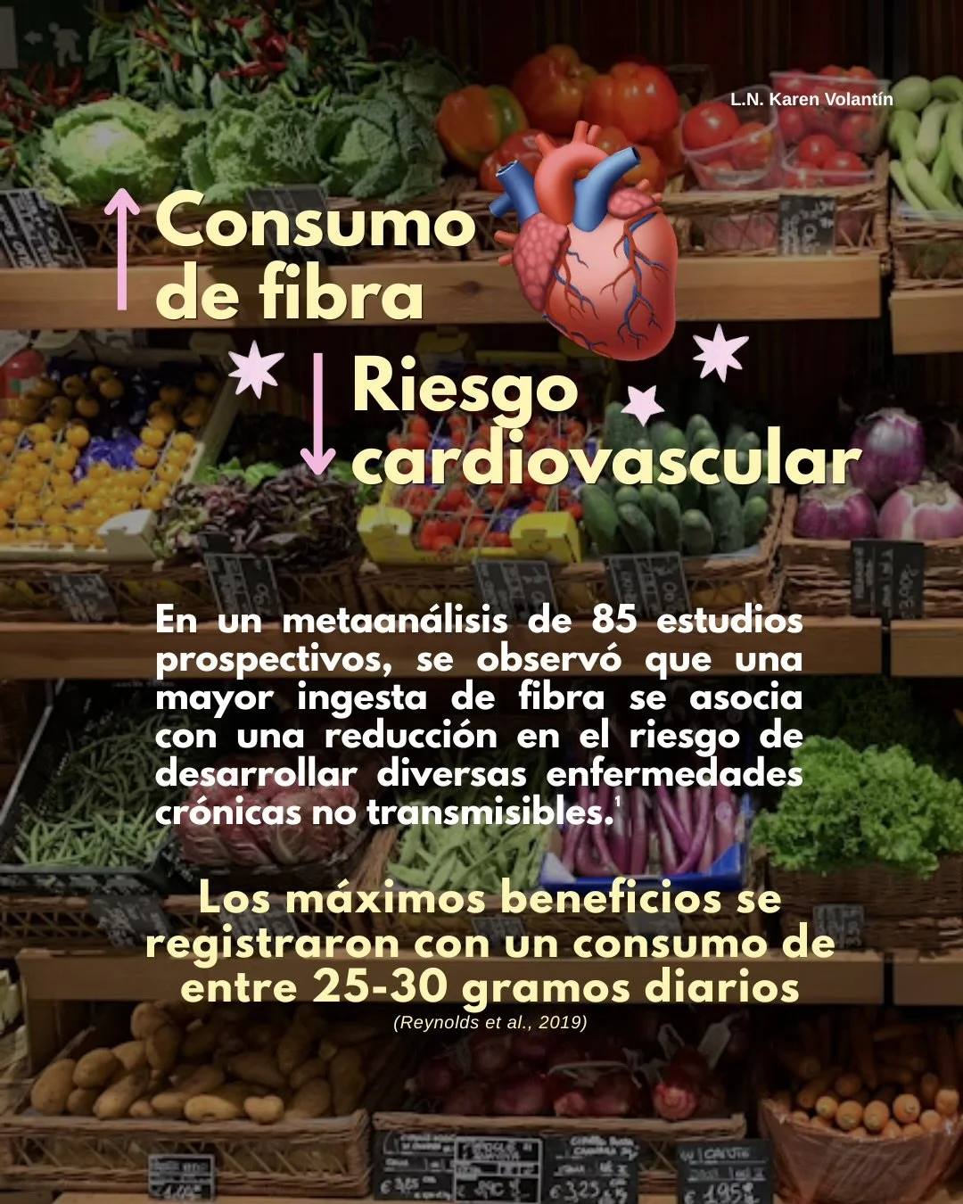 La Fibra - 3.jpeg