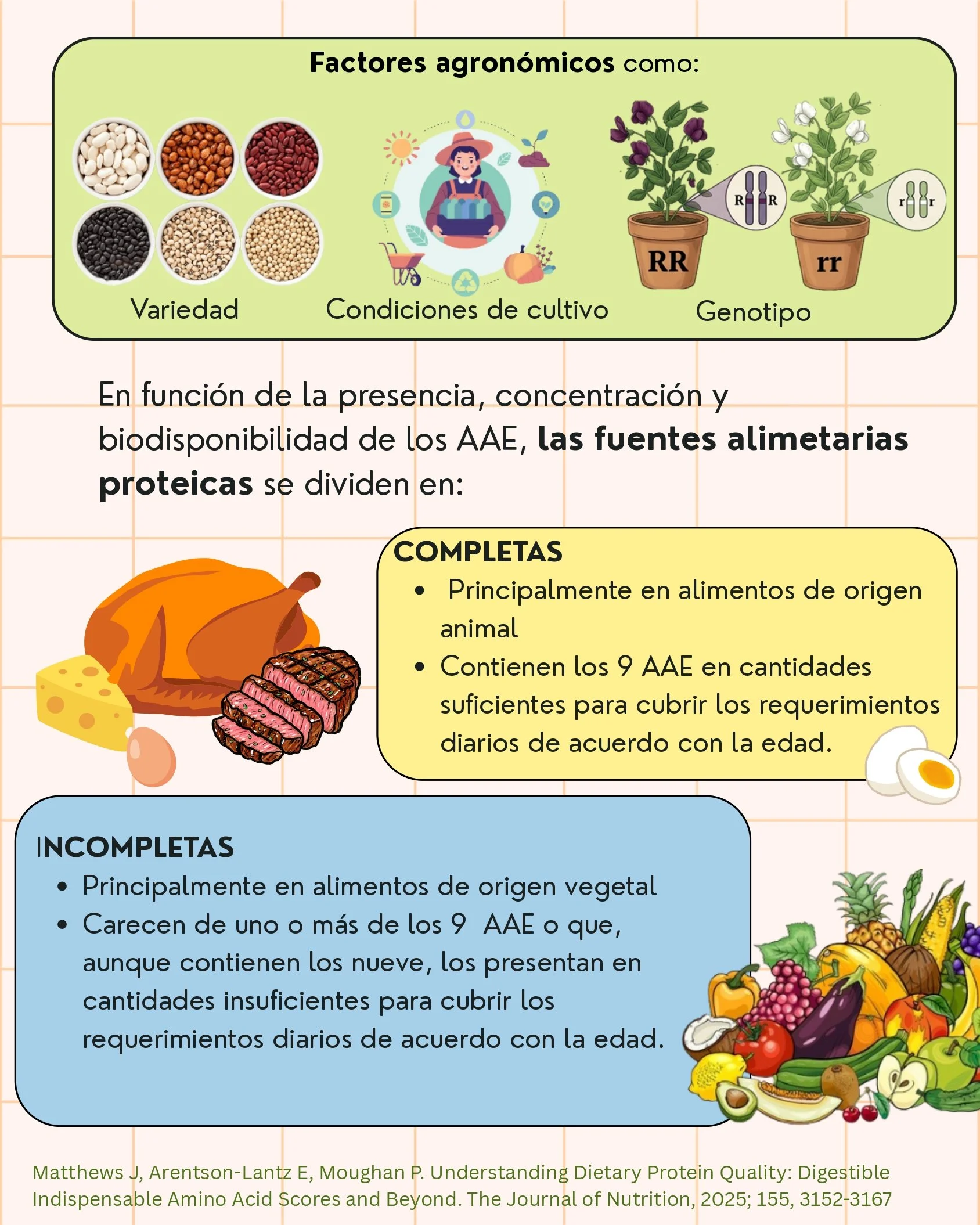 Calidad de las proteína dietarias_page-0004.jpg