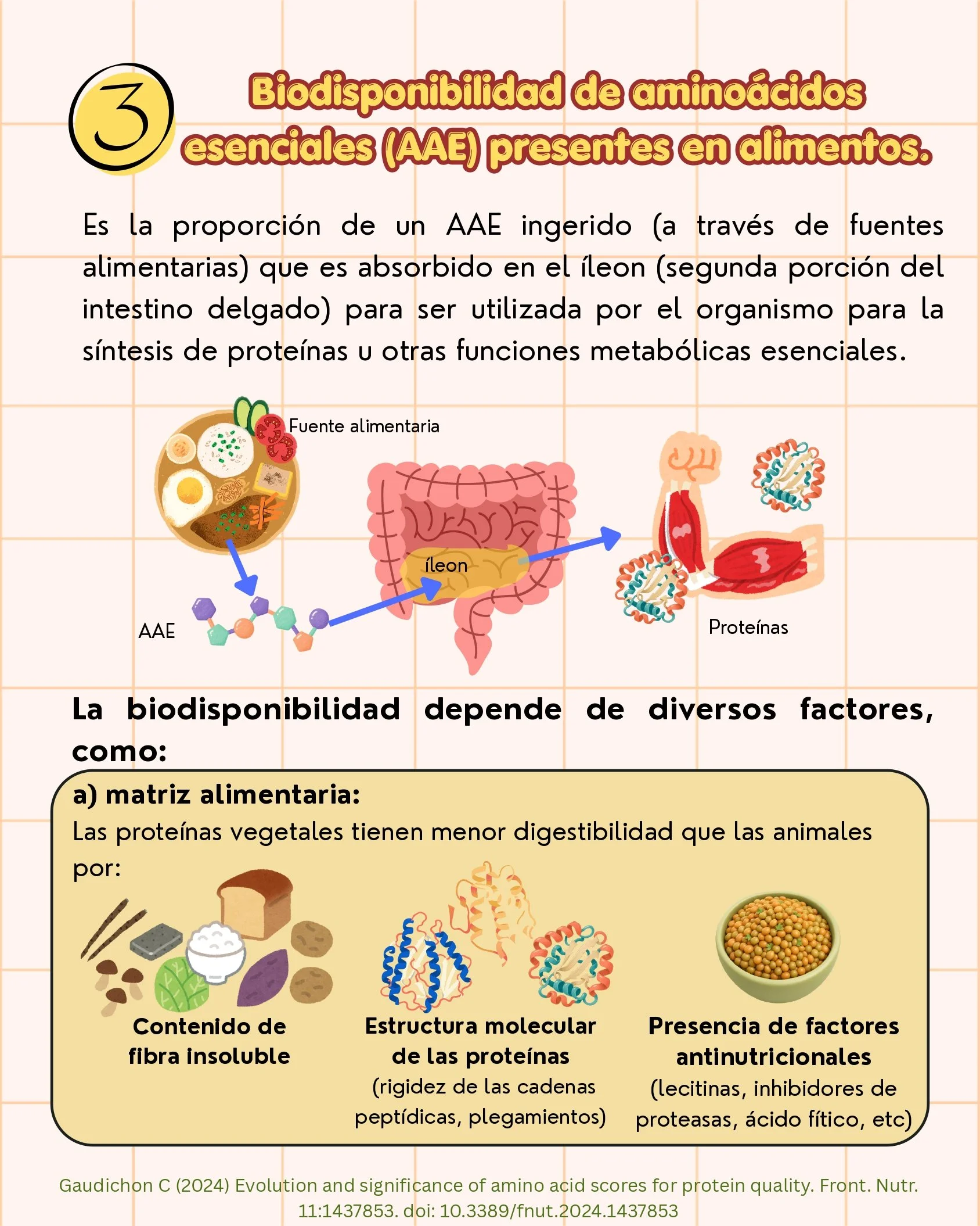 Calidad de las proteína dietarias_page-0006.jpg