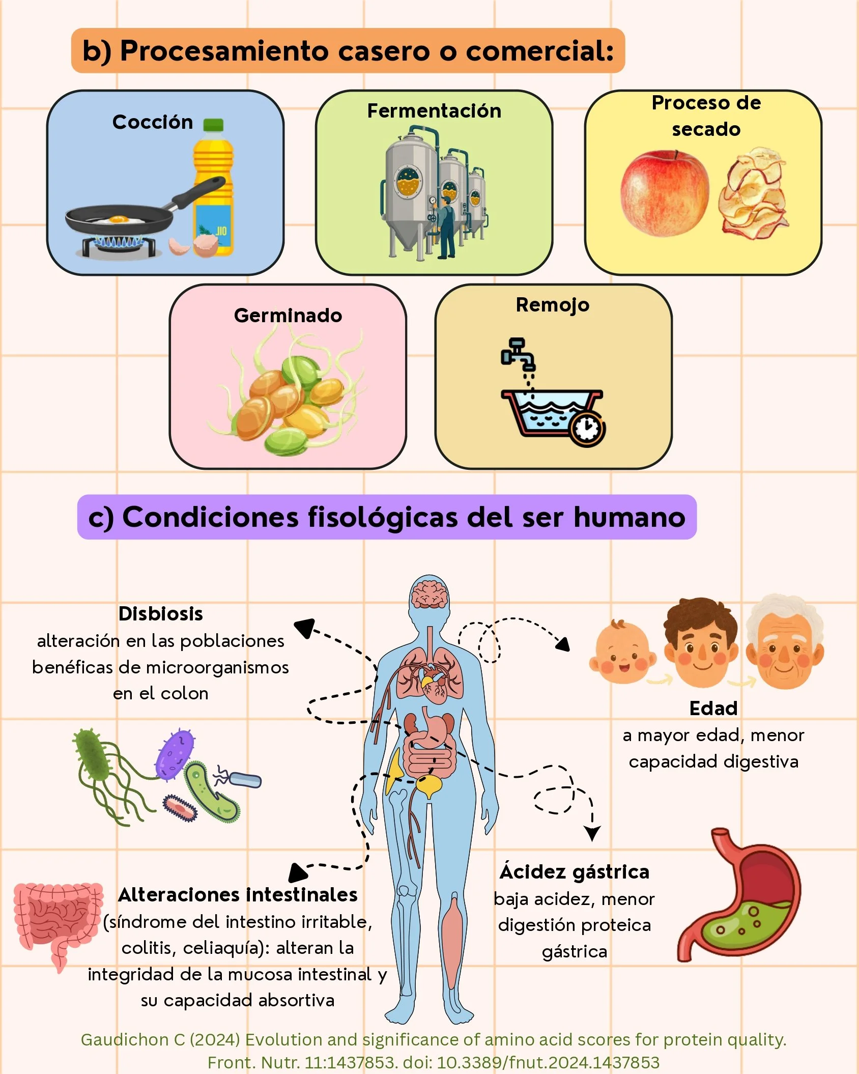 Calidad de las proteína dietarias_page-0007.jpg