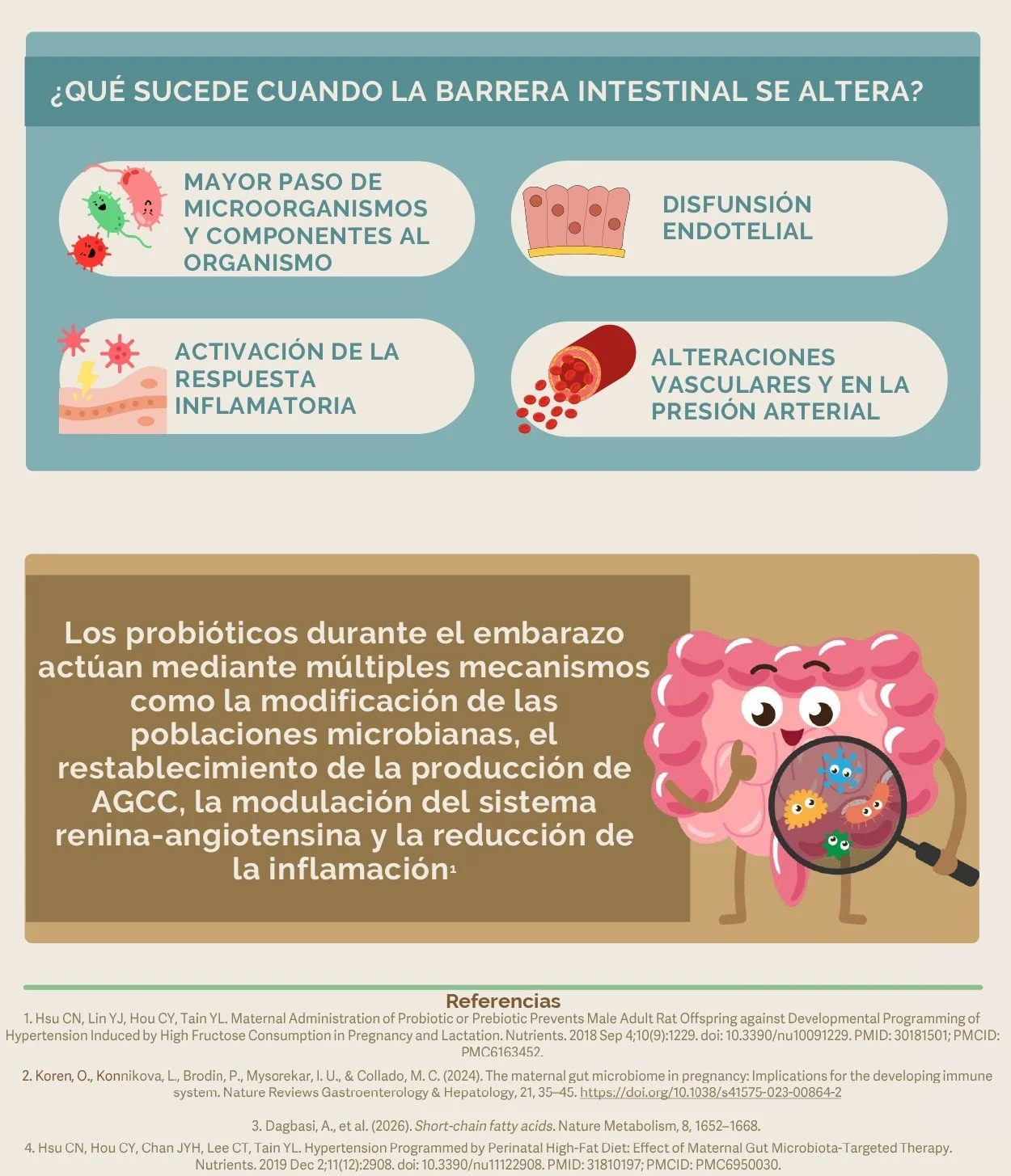 Intestino_infografia_02.jpg