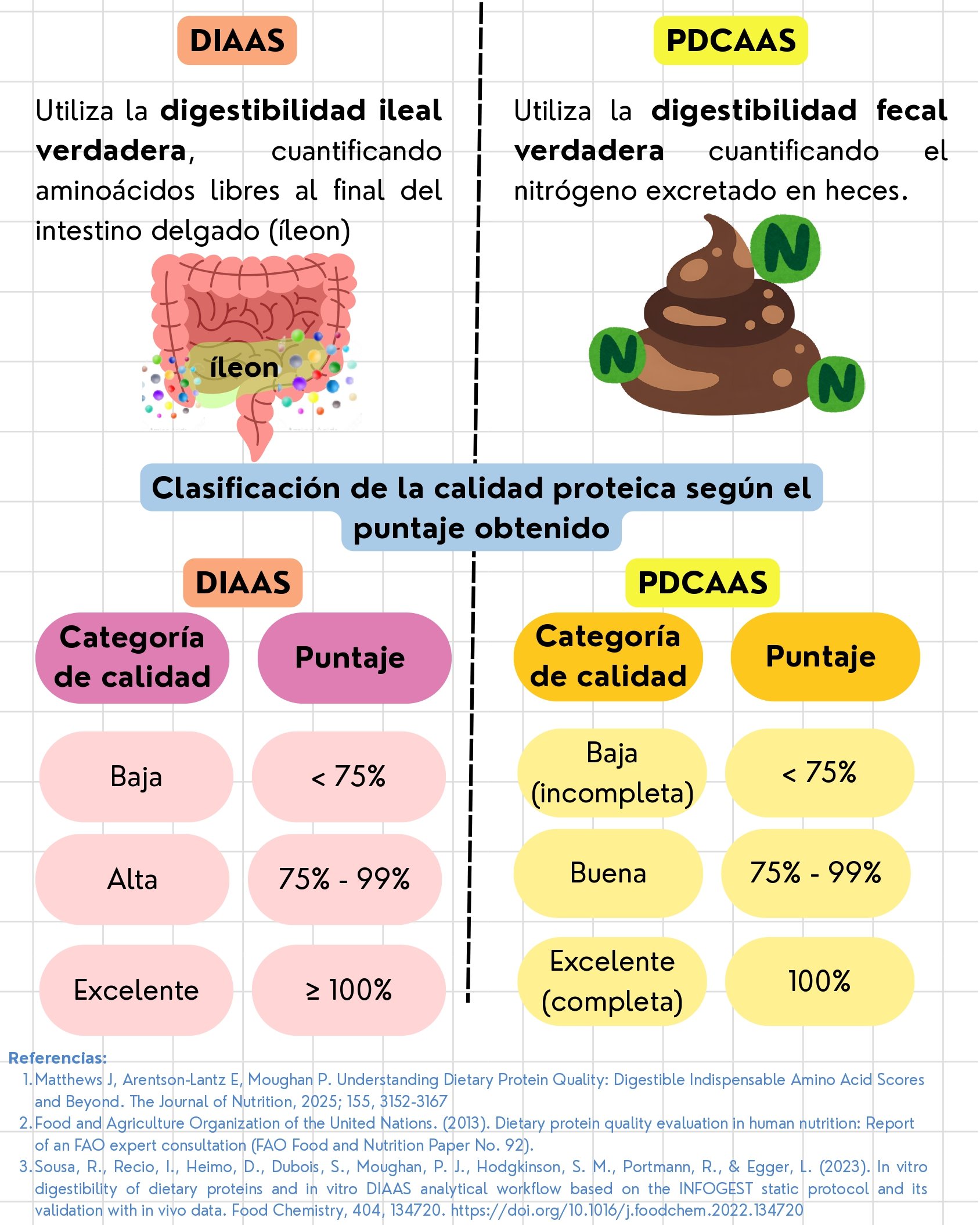 INFOGRAFÍA 2 - Métodos de evaluación de proteínas_page-0007.jpg