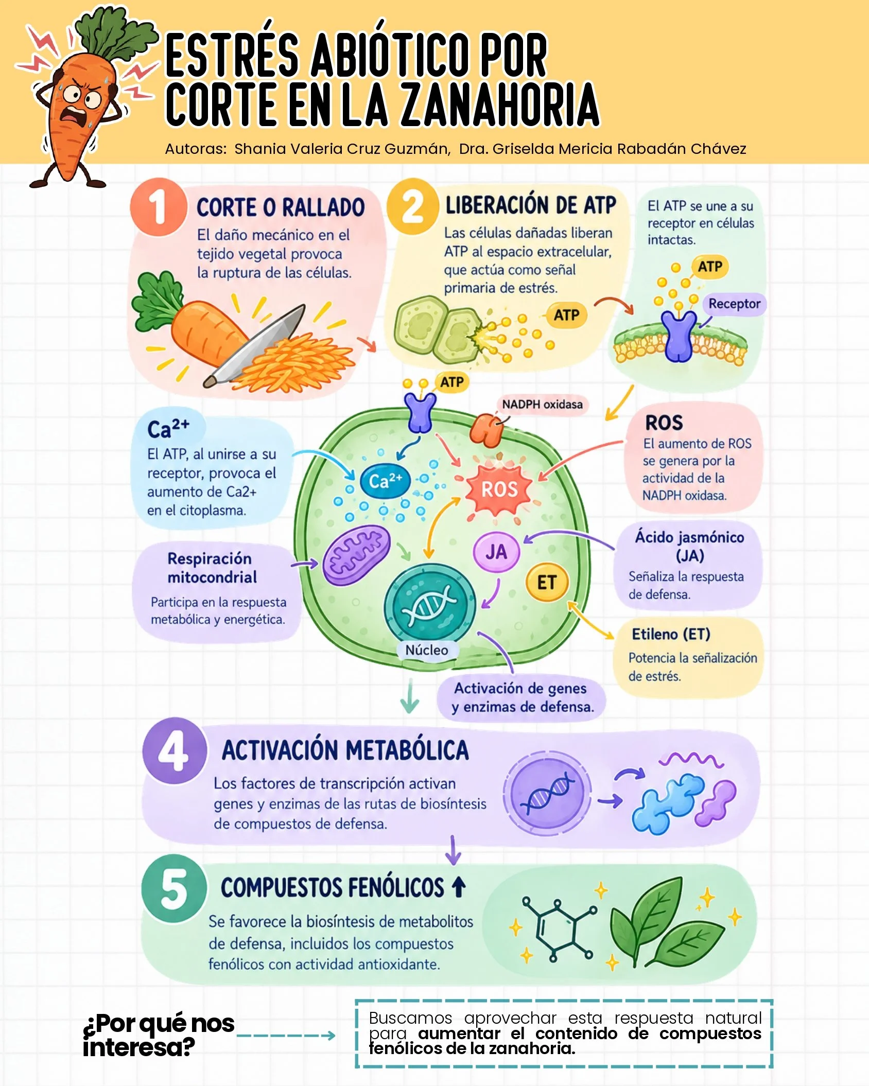 ESTRÉS EN ZANAHORIA_page-0001.jpg