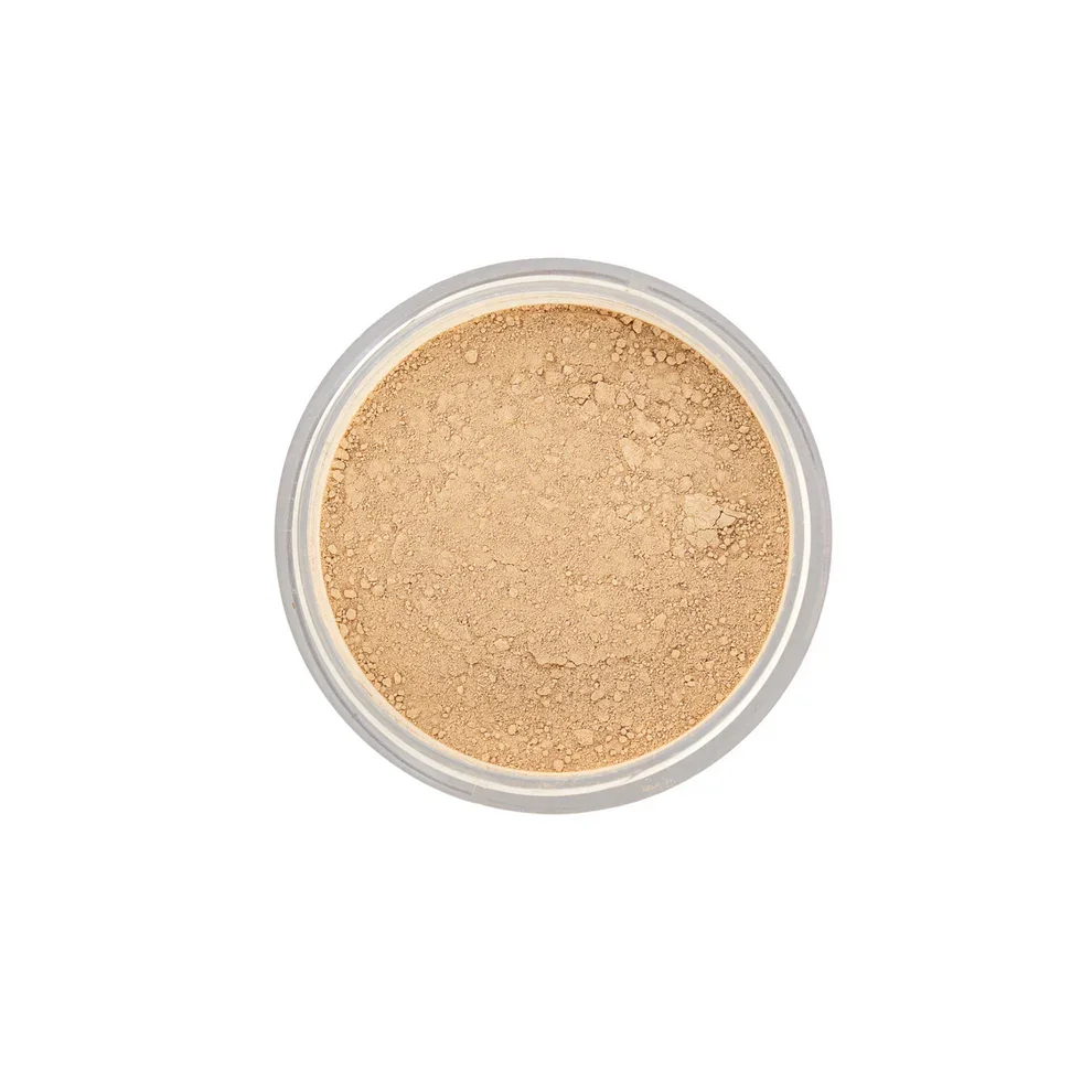 pure-anada-loose-mineral-foundation-10n-alabaster-brees-brow-lounge-chilliwack.webp