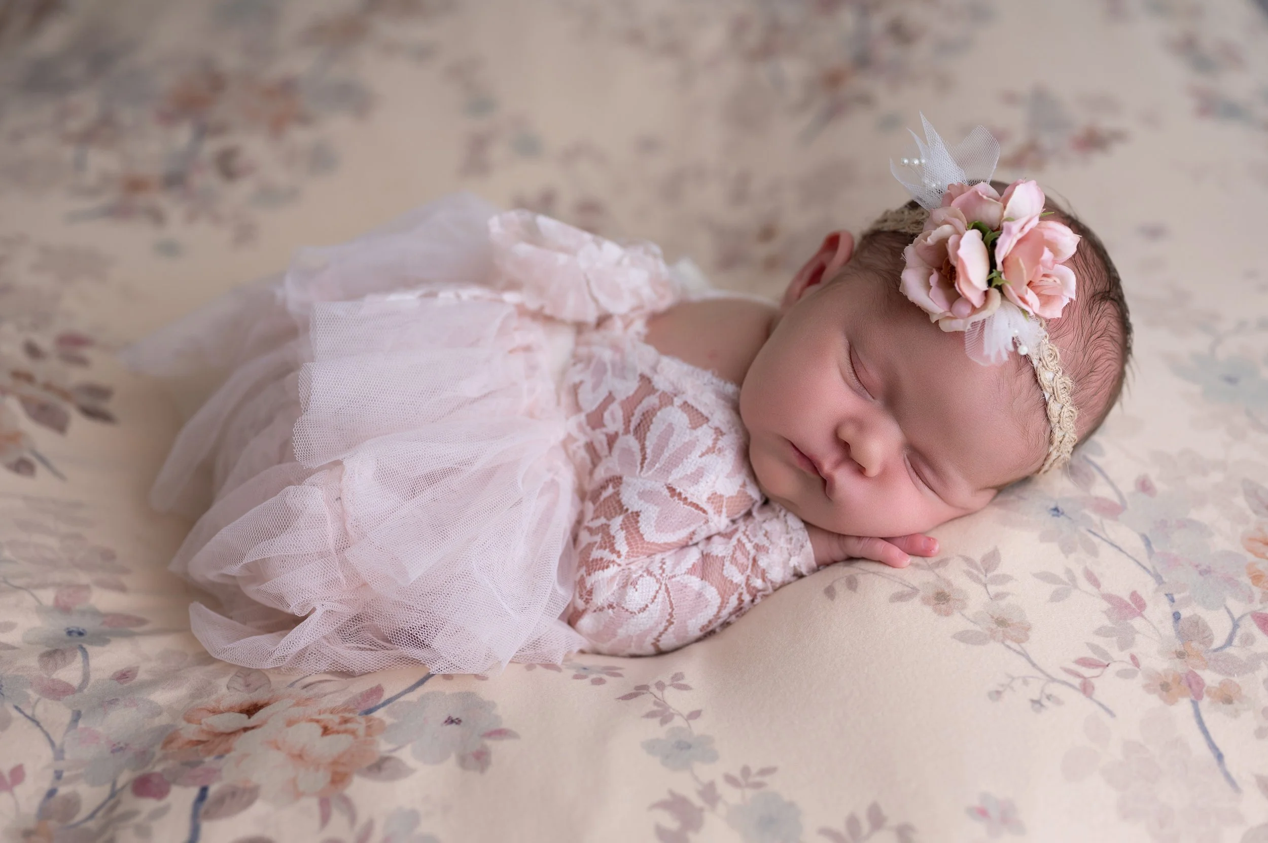 DSC_5247-Edit.jpg