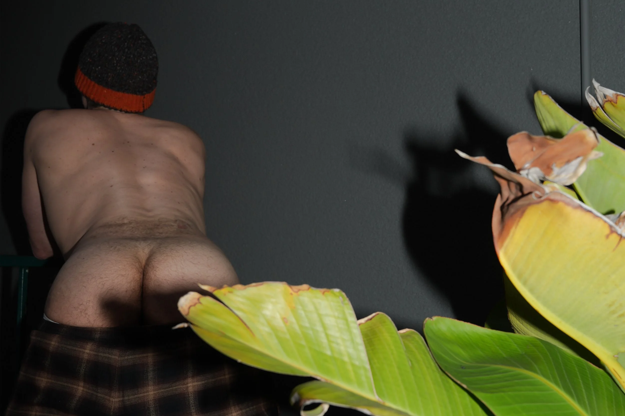 20251213_Mike sunrise 251213_0060.jpg