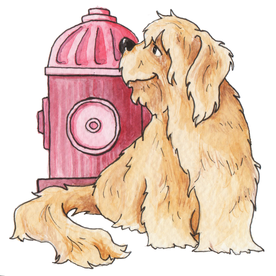 Illustration of a fluffy dog sitting by a red fire hydrant.