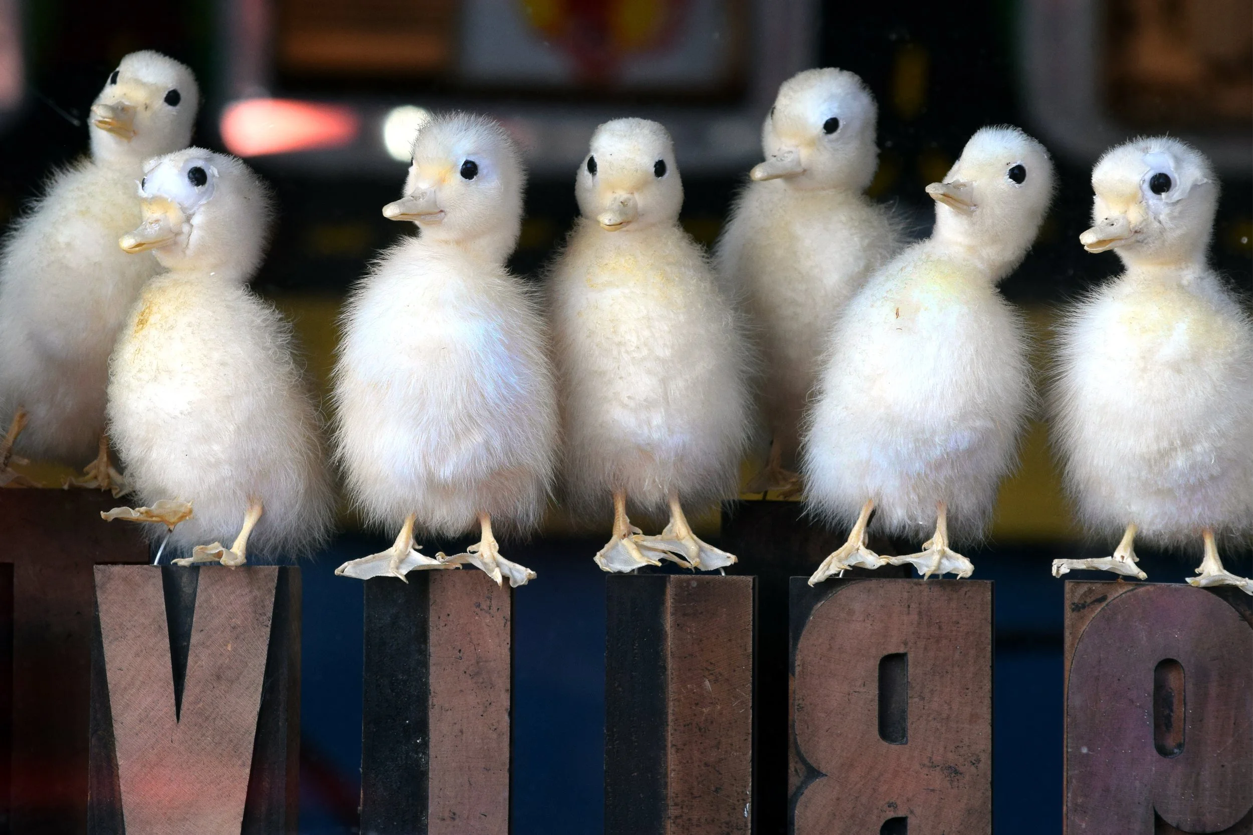 Bama Backroads | Alabama