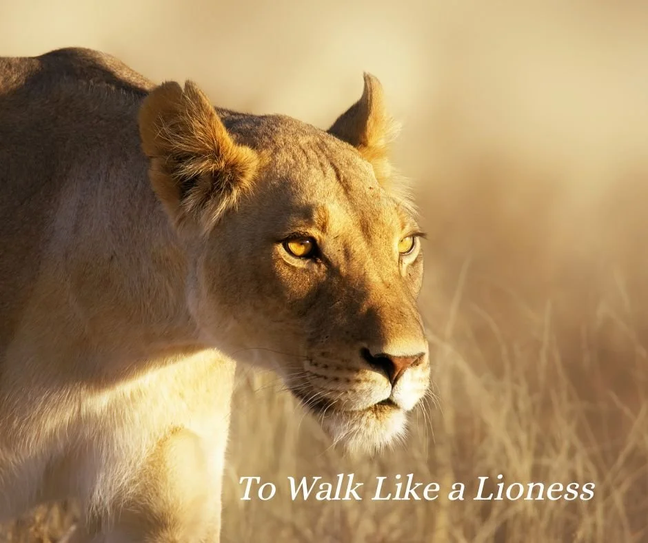 To Walk Like a Lioness