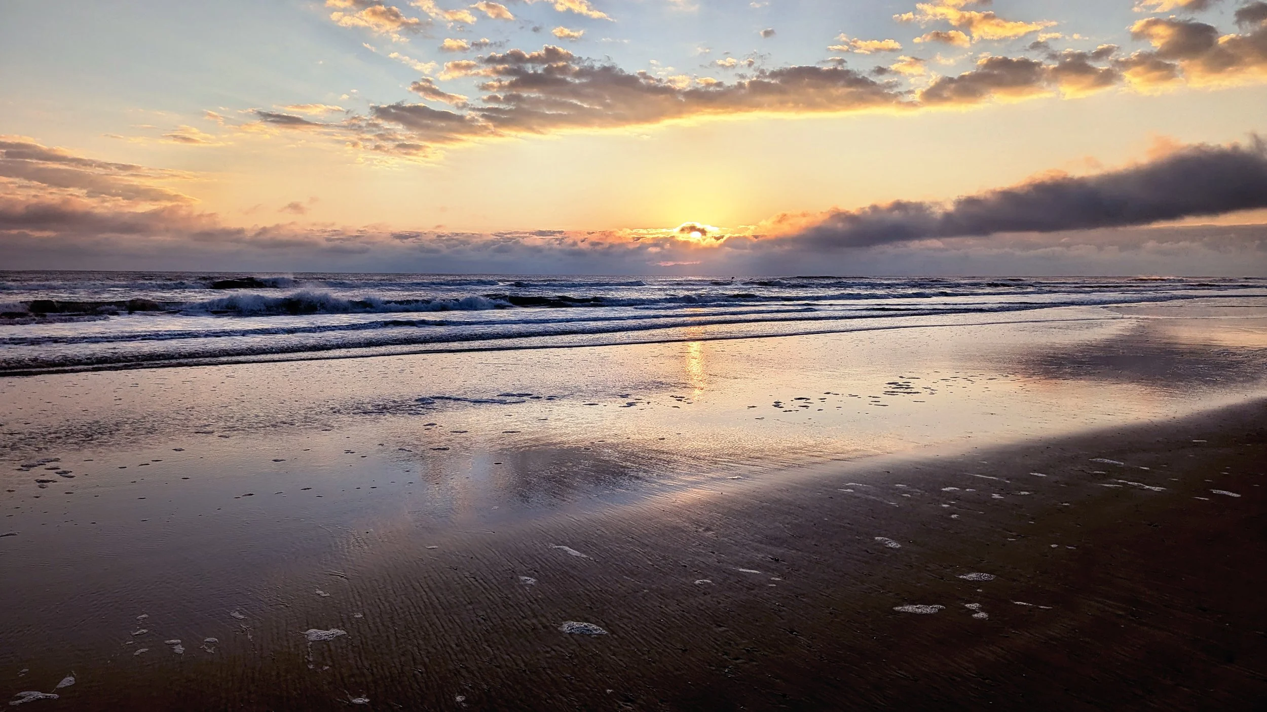 August Dawn