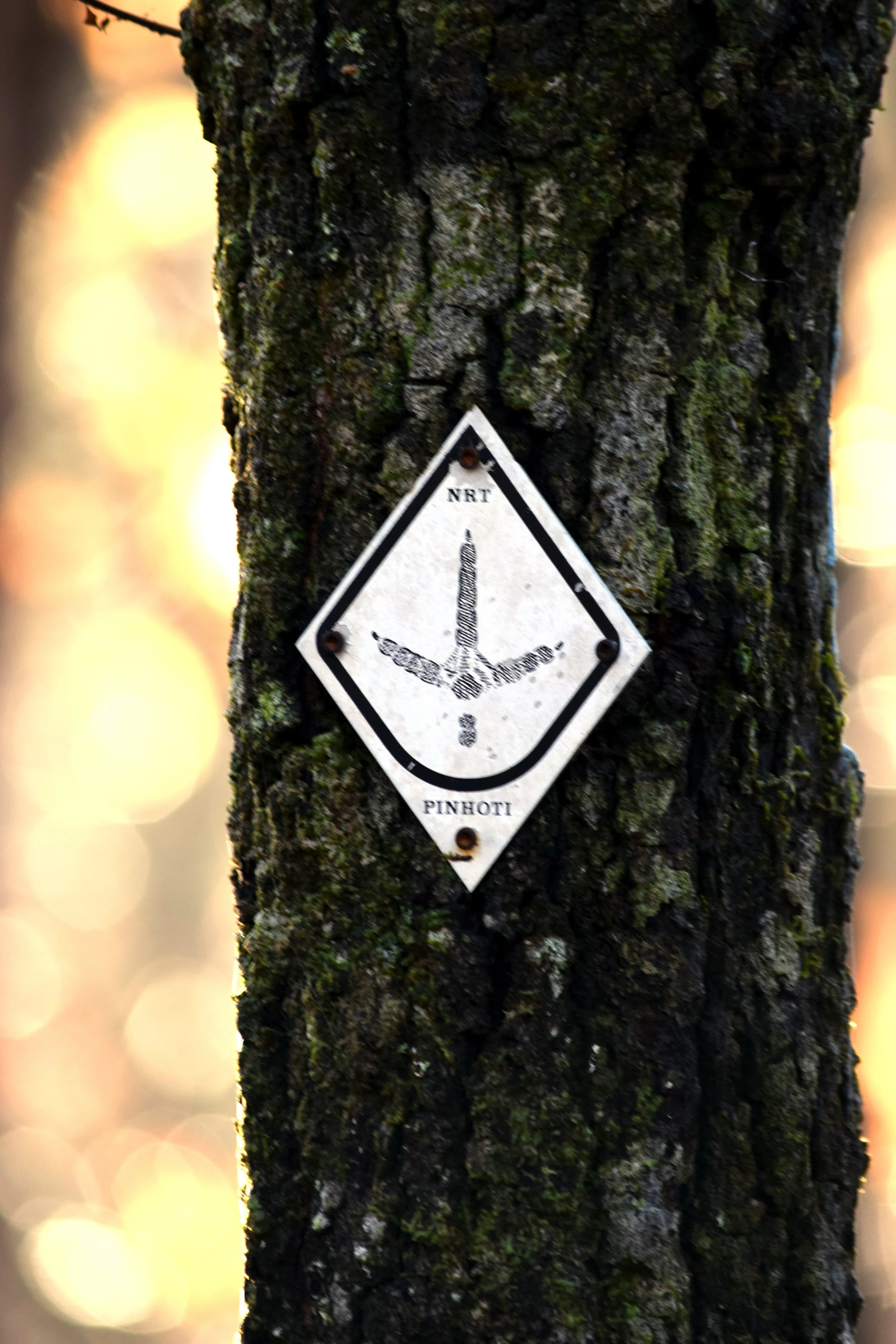 Pinhoti Trail Sign.jpg