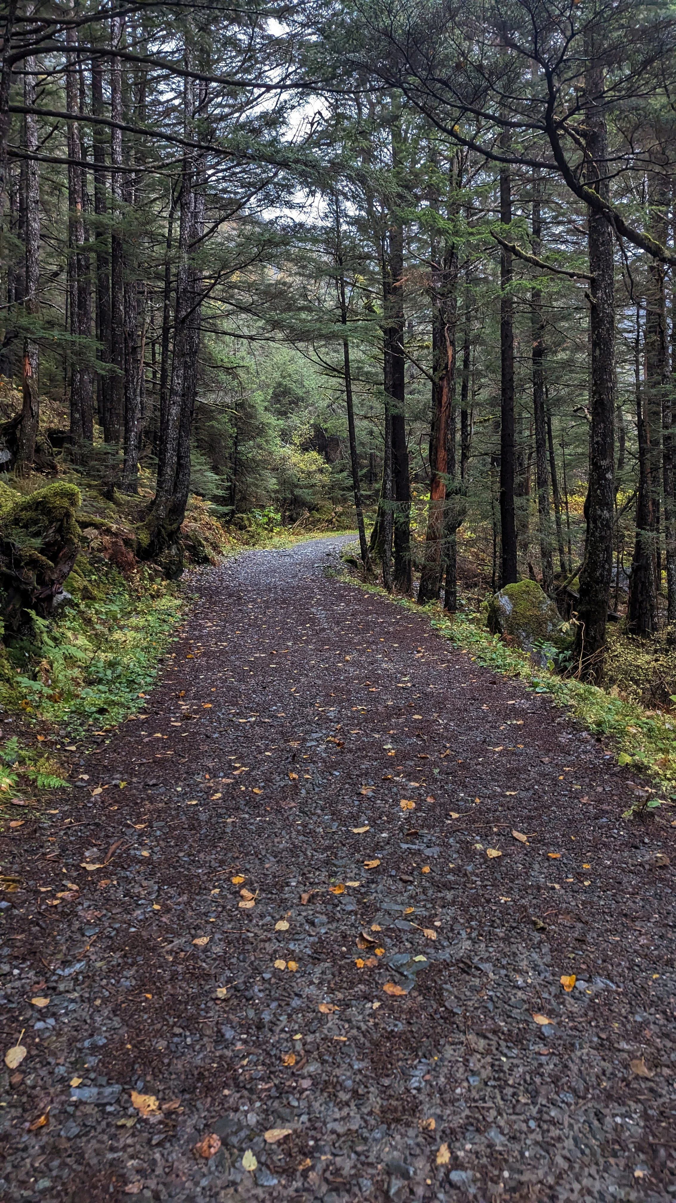 Perseverance Trail 3.jpg