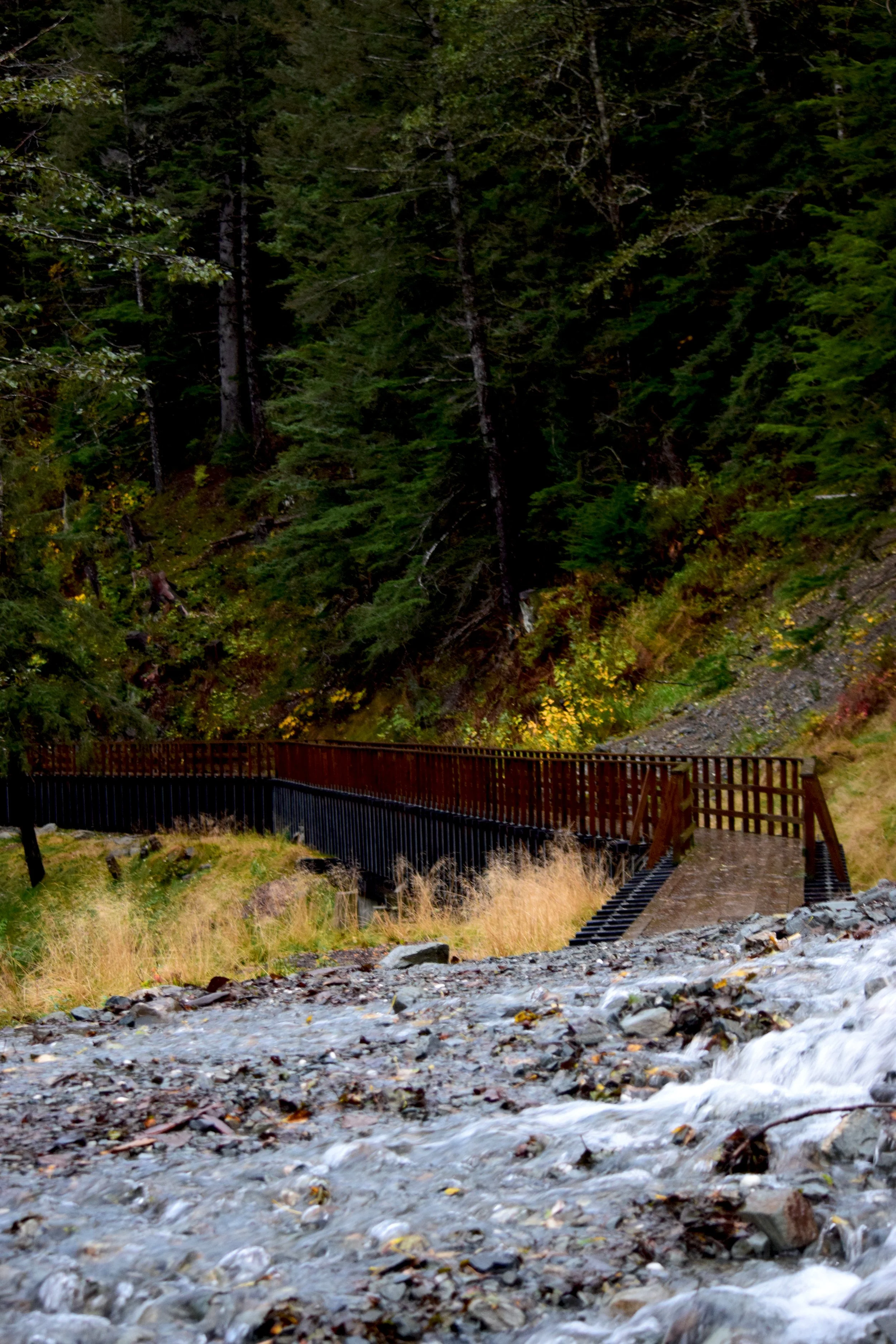 JN AK Perseverance Trail Path 3.jpg