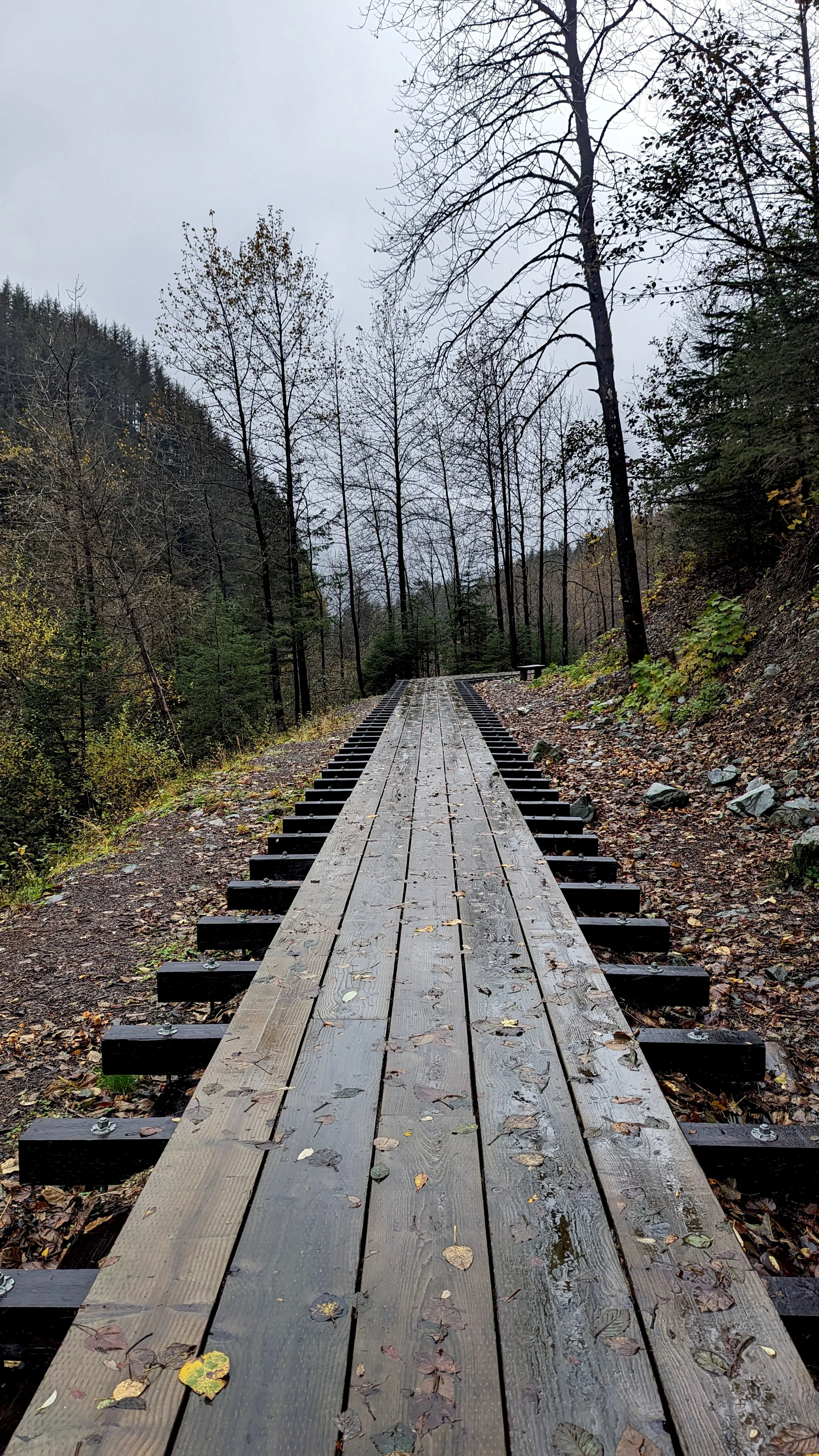 Perseverance Trail Path 2.jpg