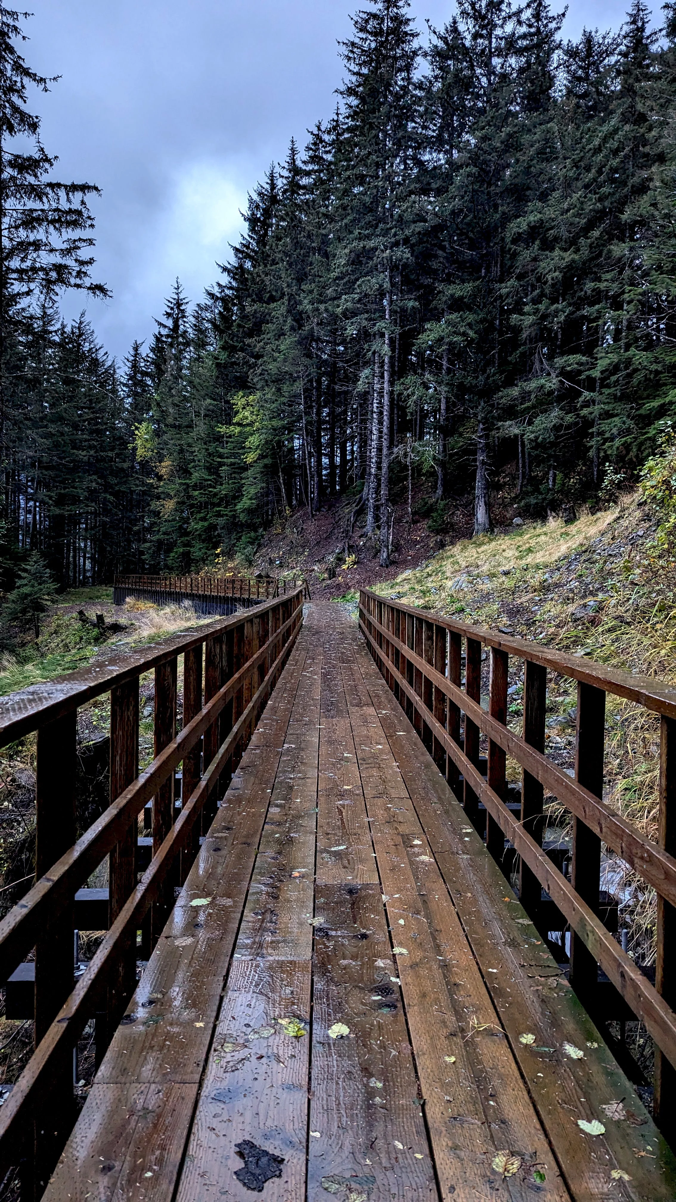 Perseverance Trail Path.jpg