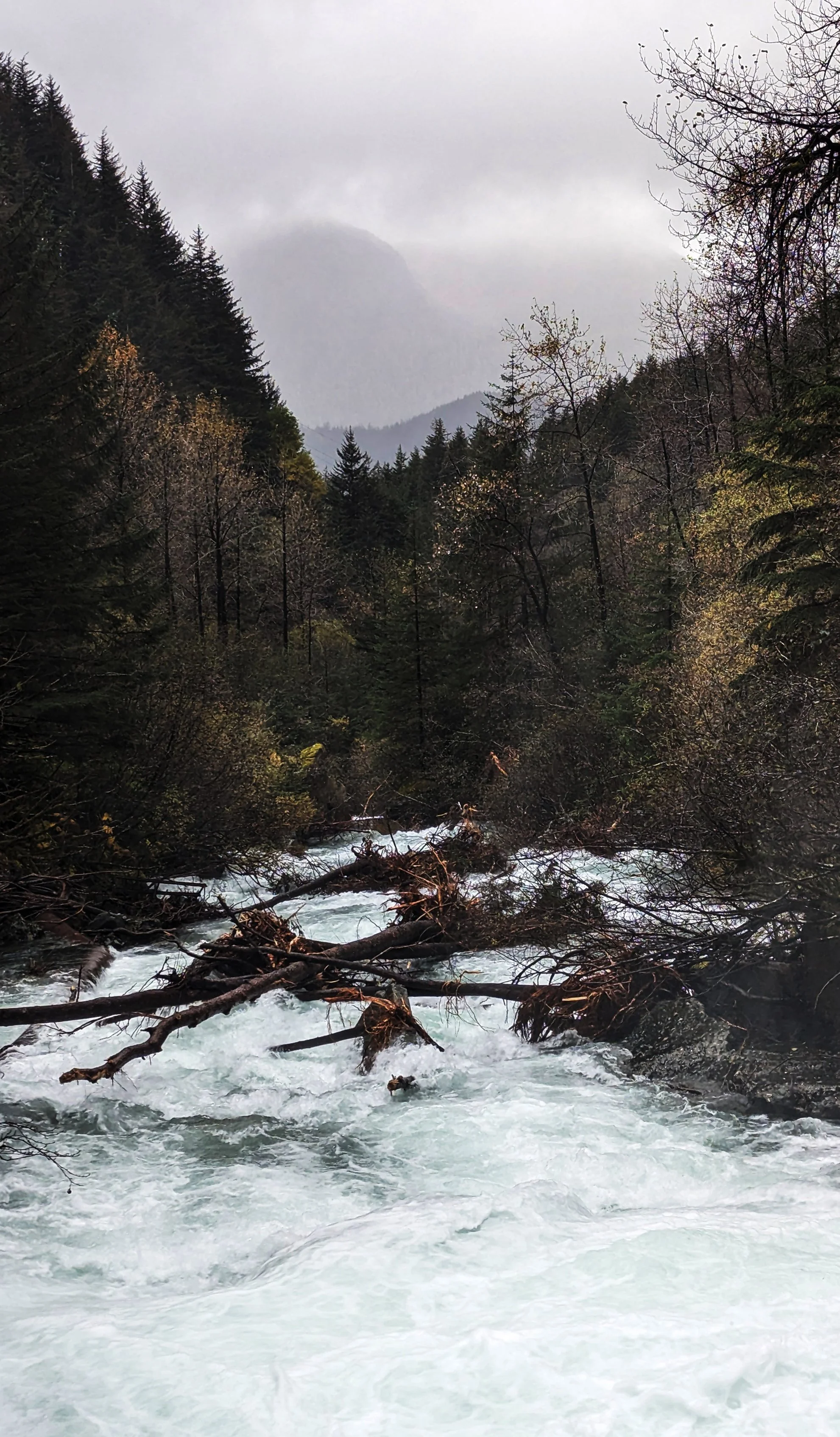 Perseverance Trail Rushing Waters 2.jpg