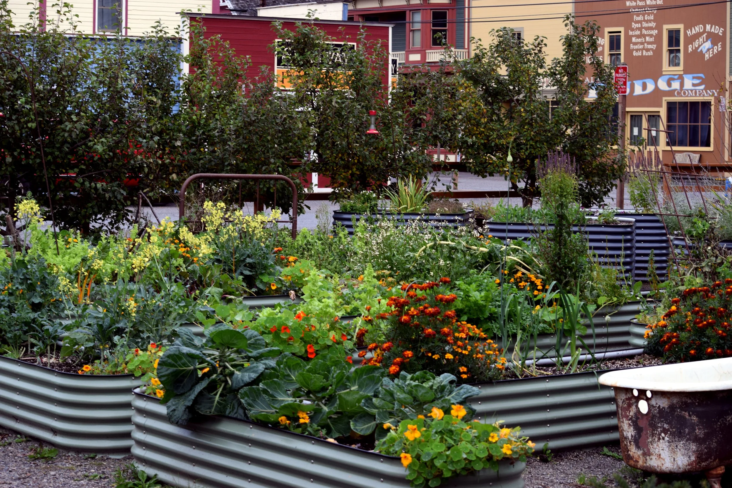 SKWY AK Garden at the Inn.jpg