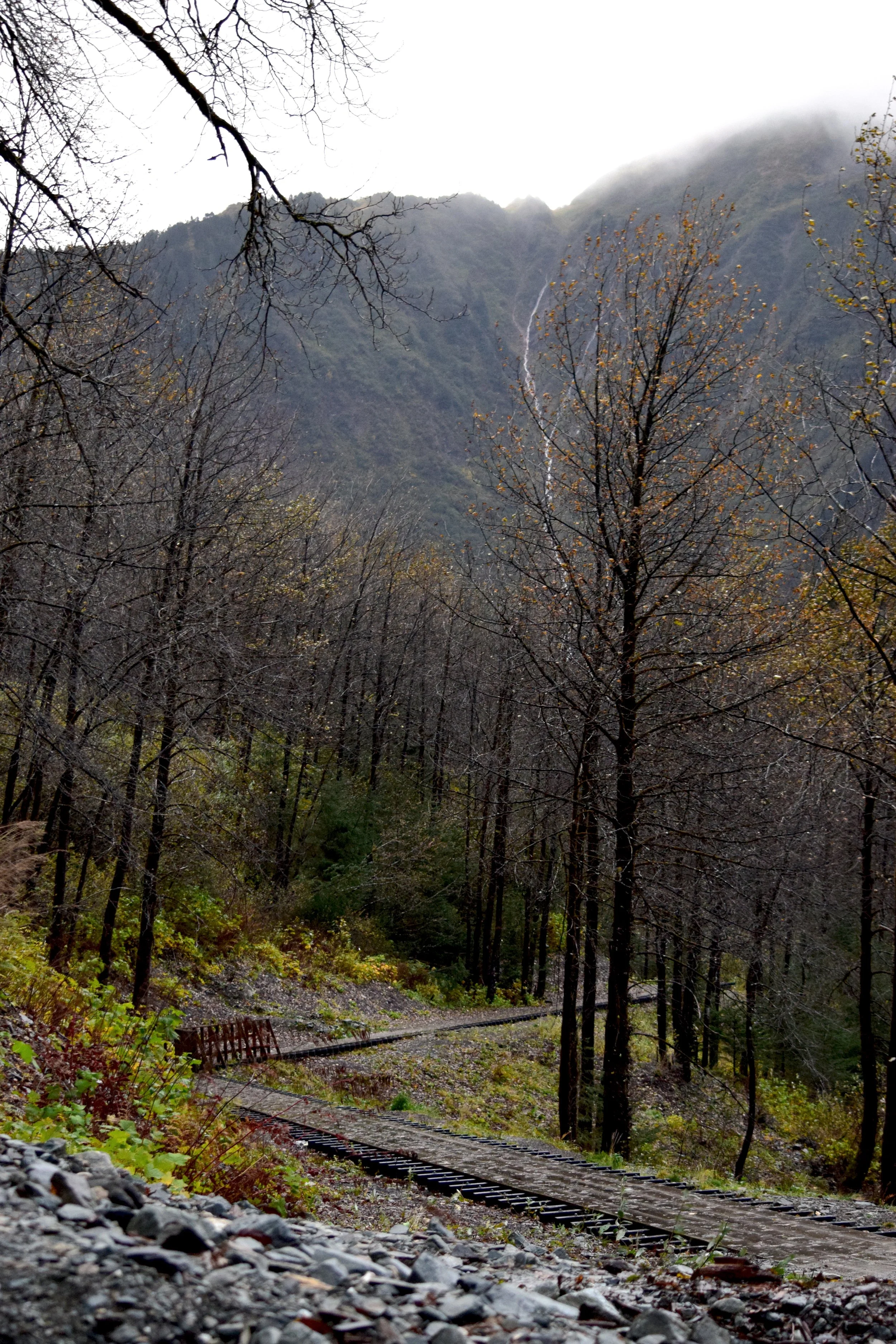 JN AK Perseverance Trail Path 2.jpg