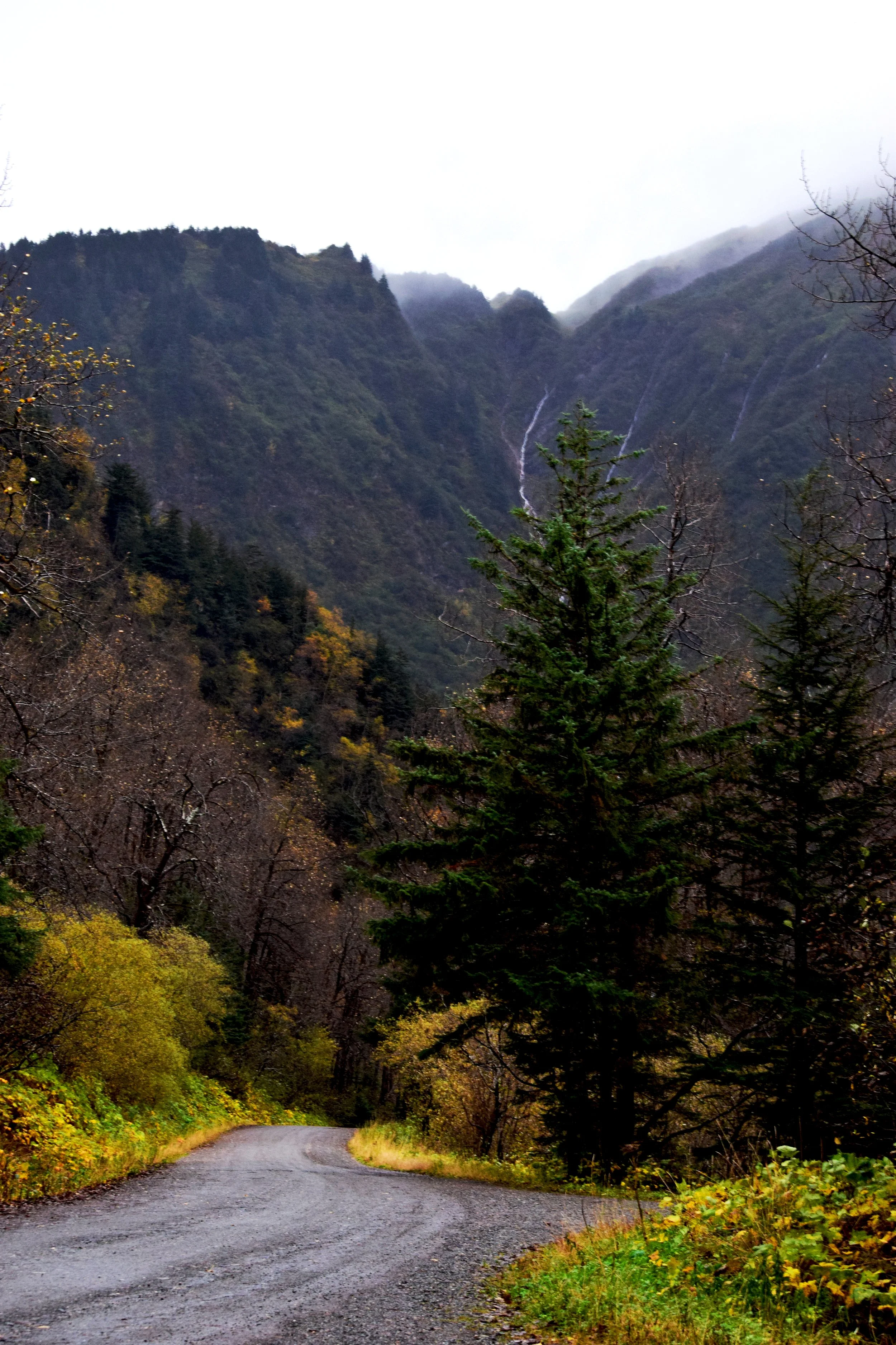 JN AK Mountain Road.jpg