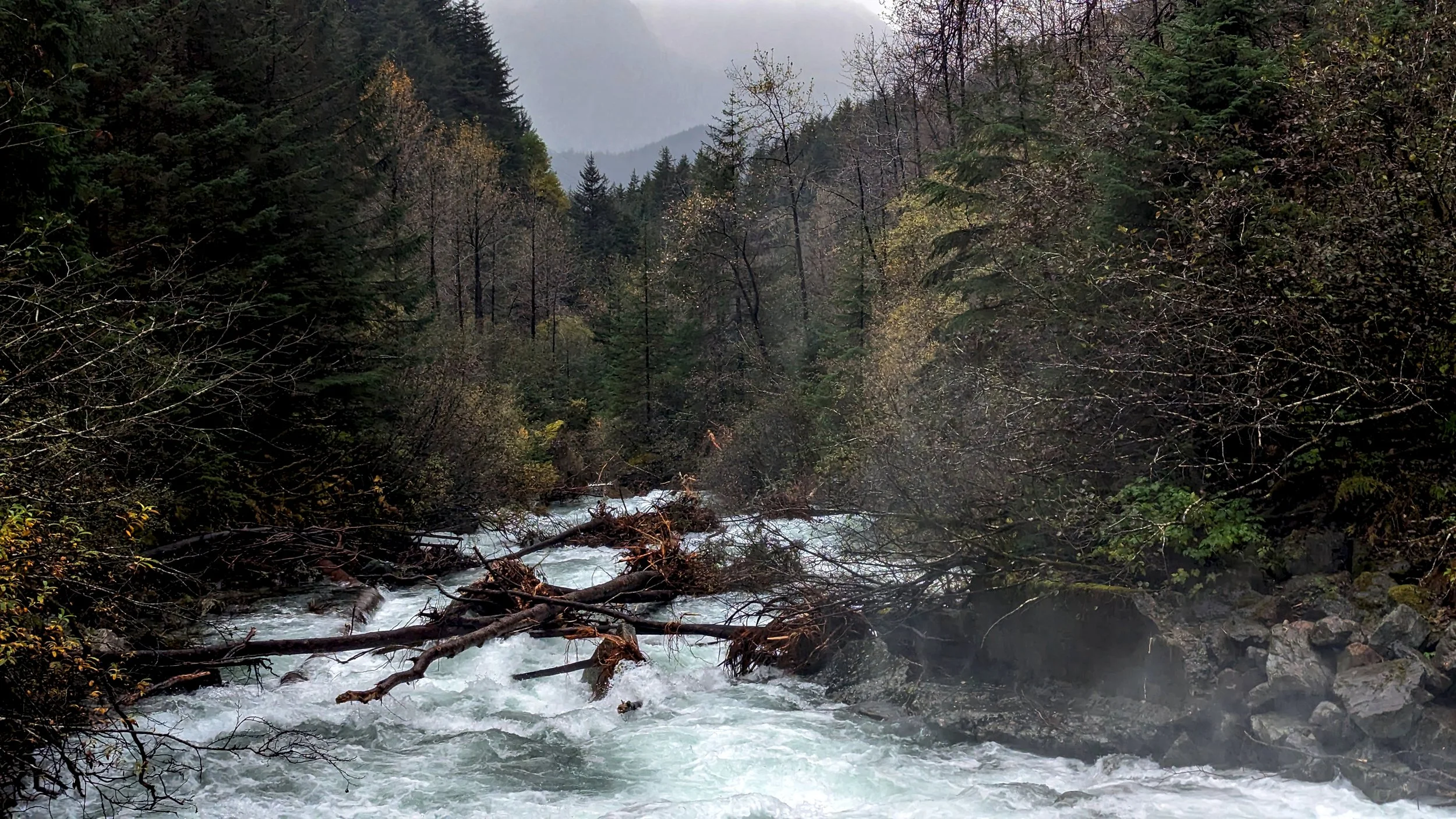 Perseverance Trail Rushing Waters.jpg