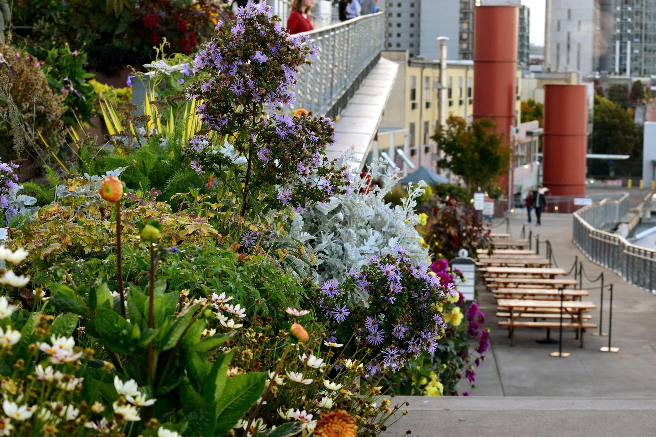 Blooms and Steel