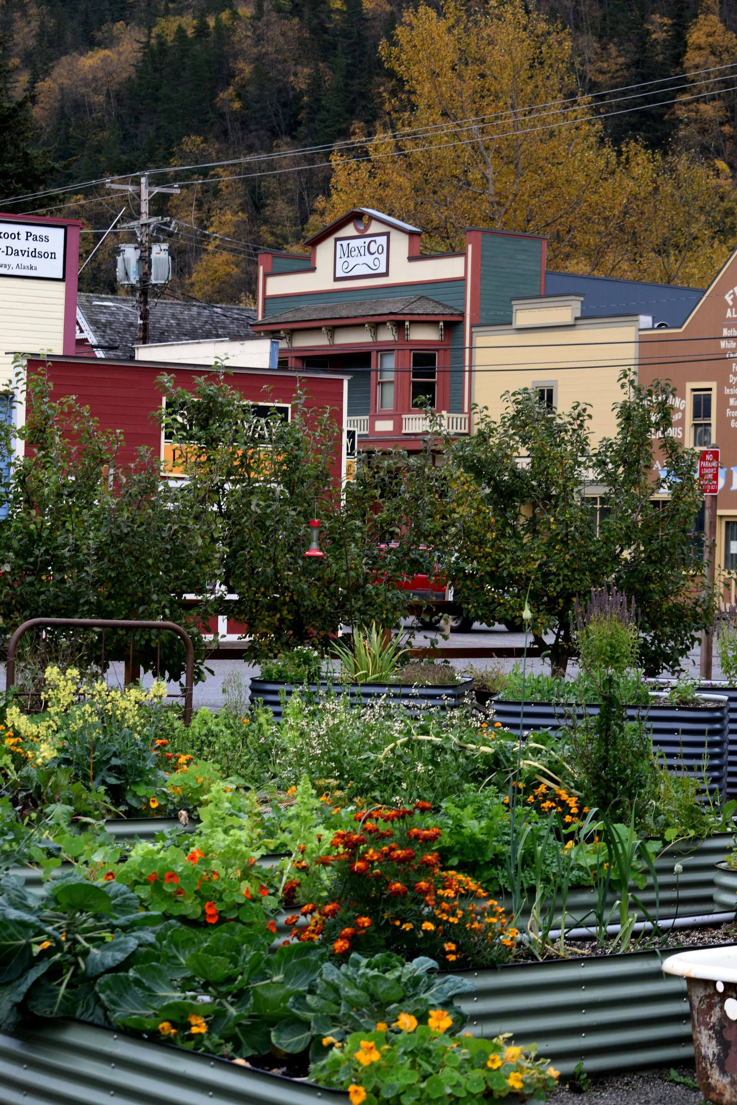 SKWY AK Garden at the Inn 2.jpg