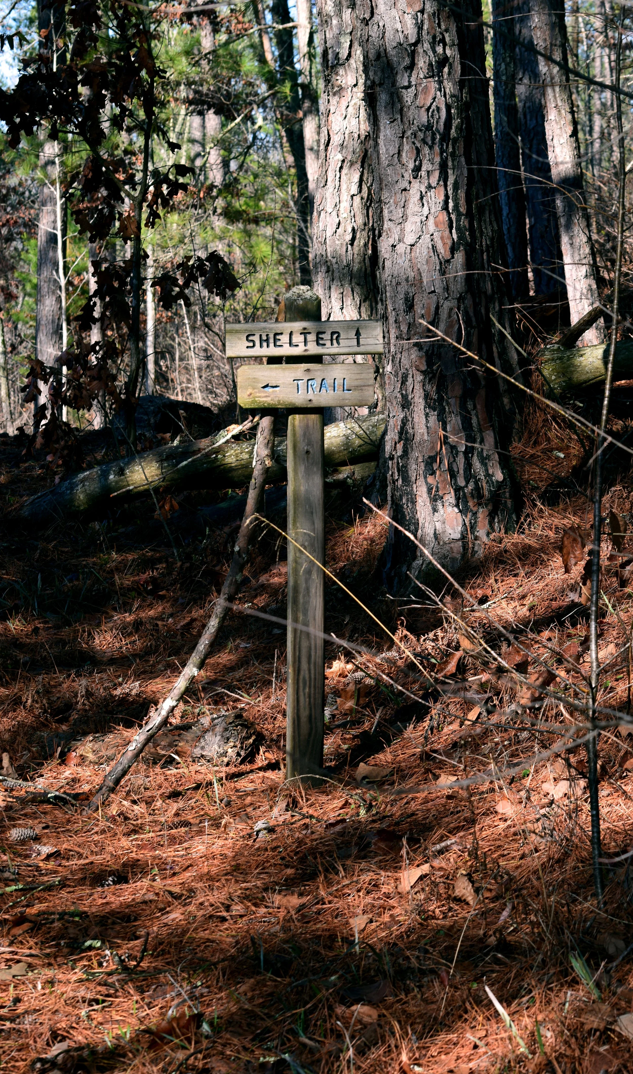 Trail Markers.jpg