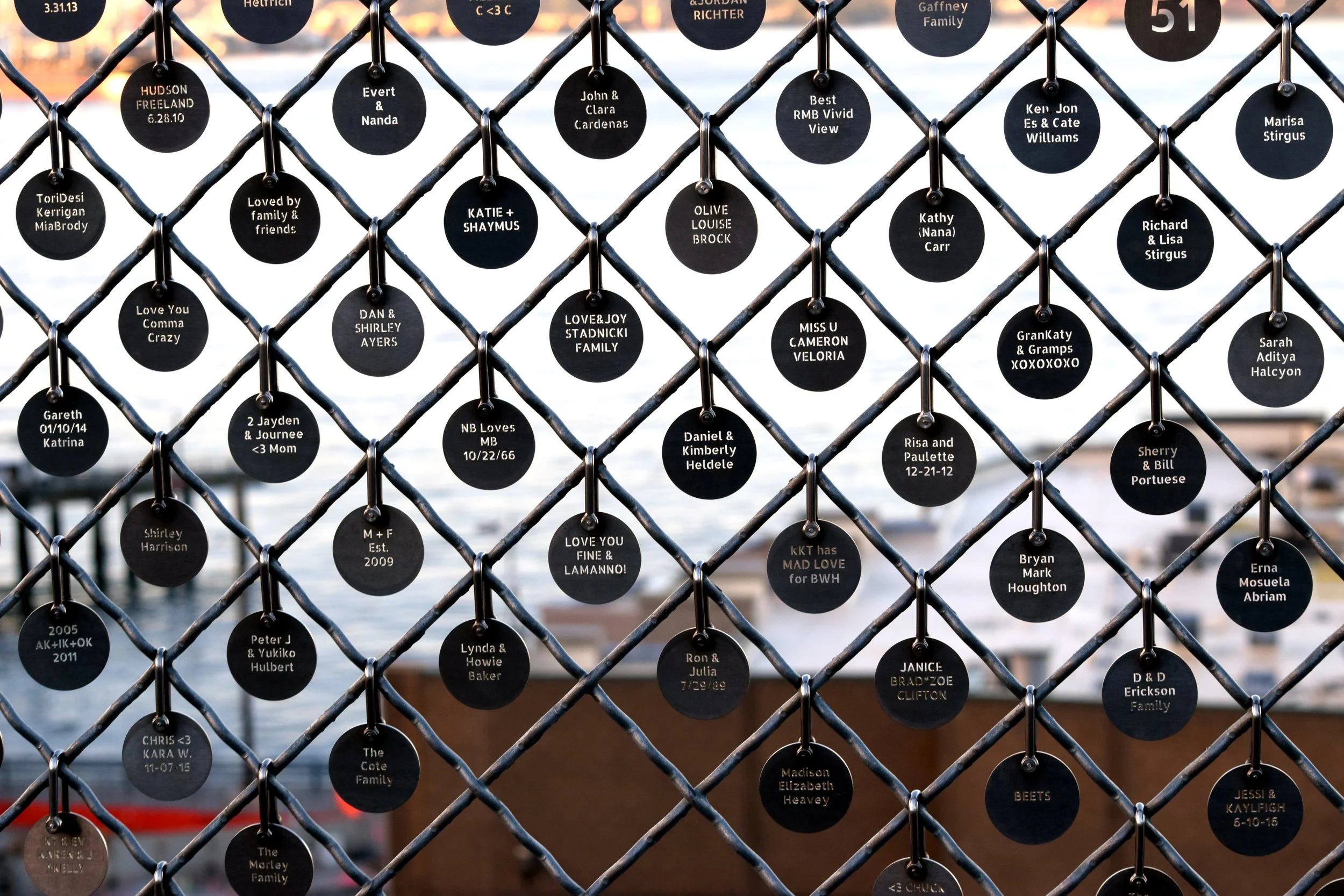SA Fence 2.jpg