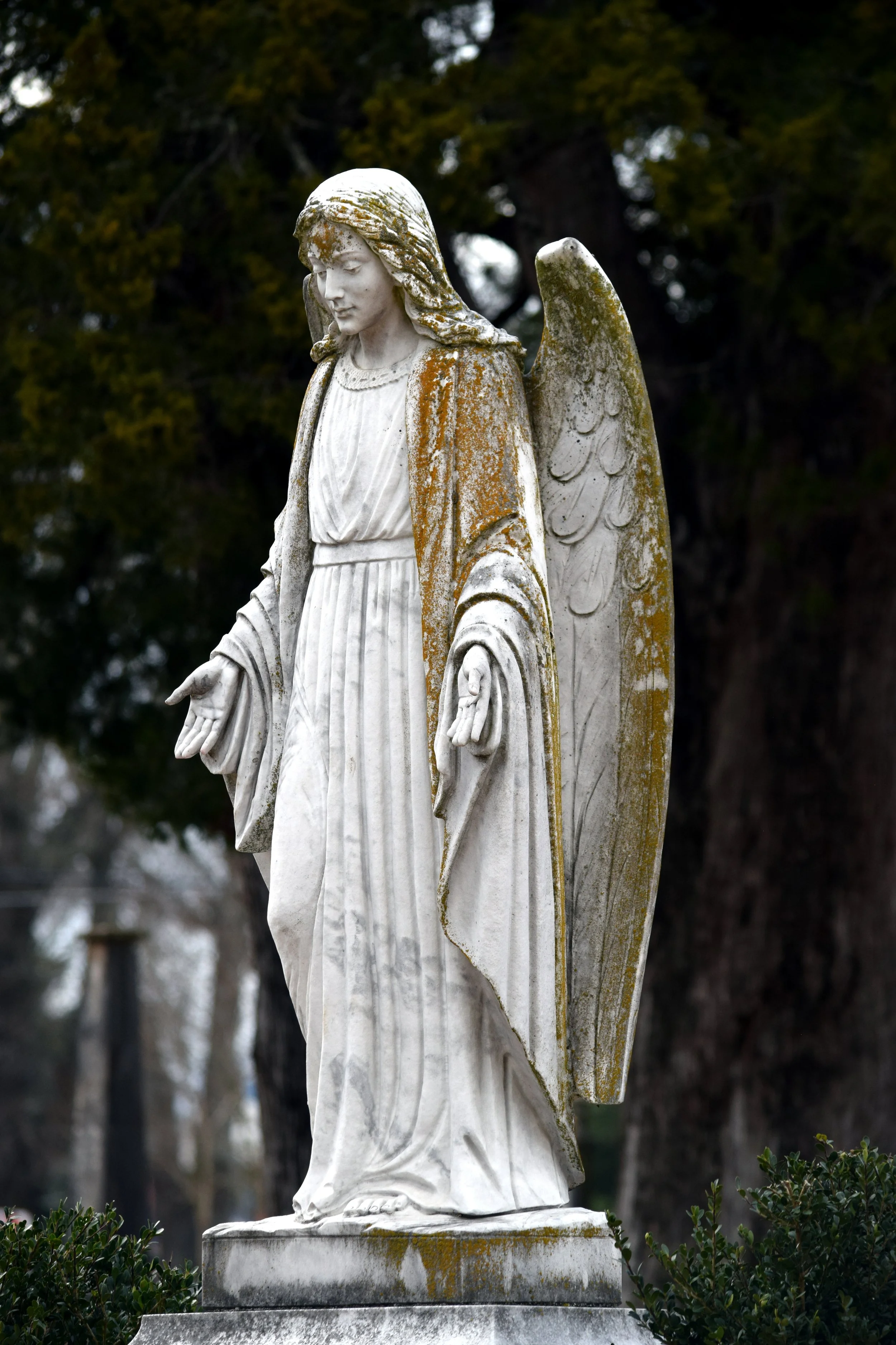 Angel 2.jpg