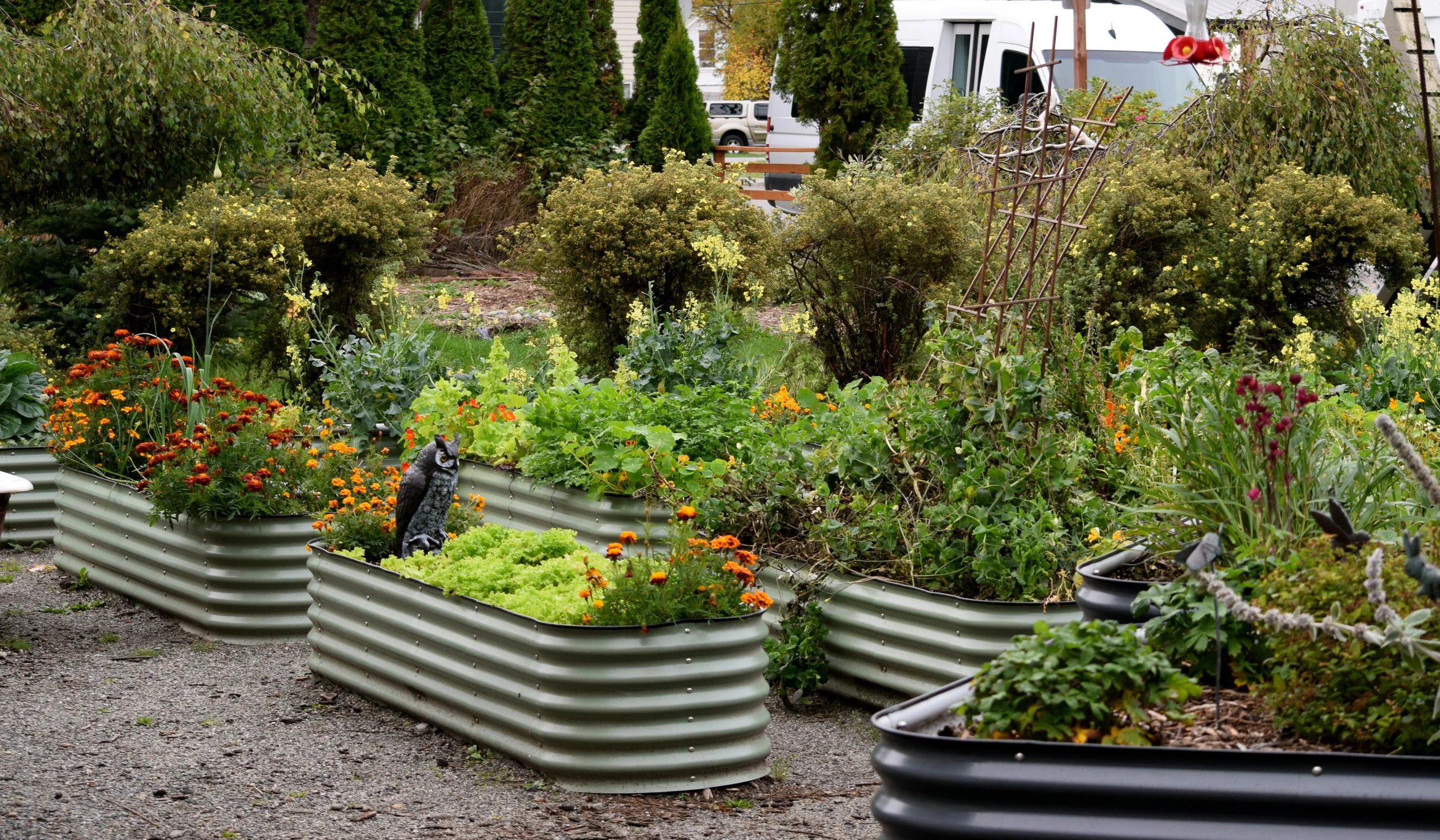 SKWY AK Garden at the Inn 3.jpg