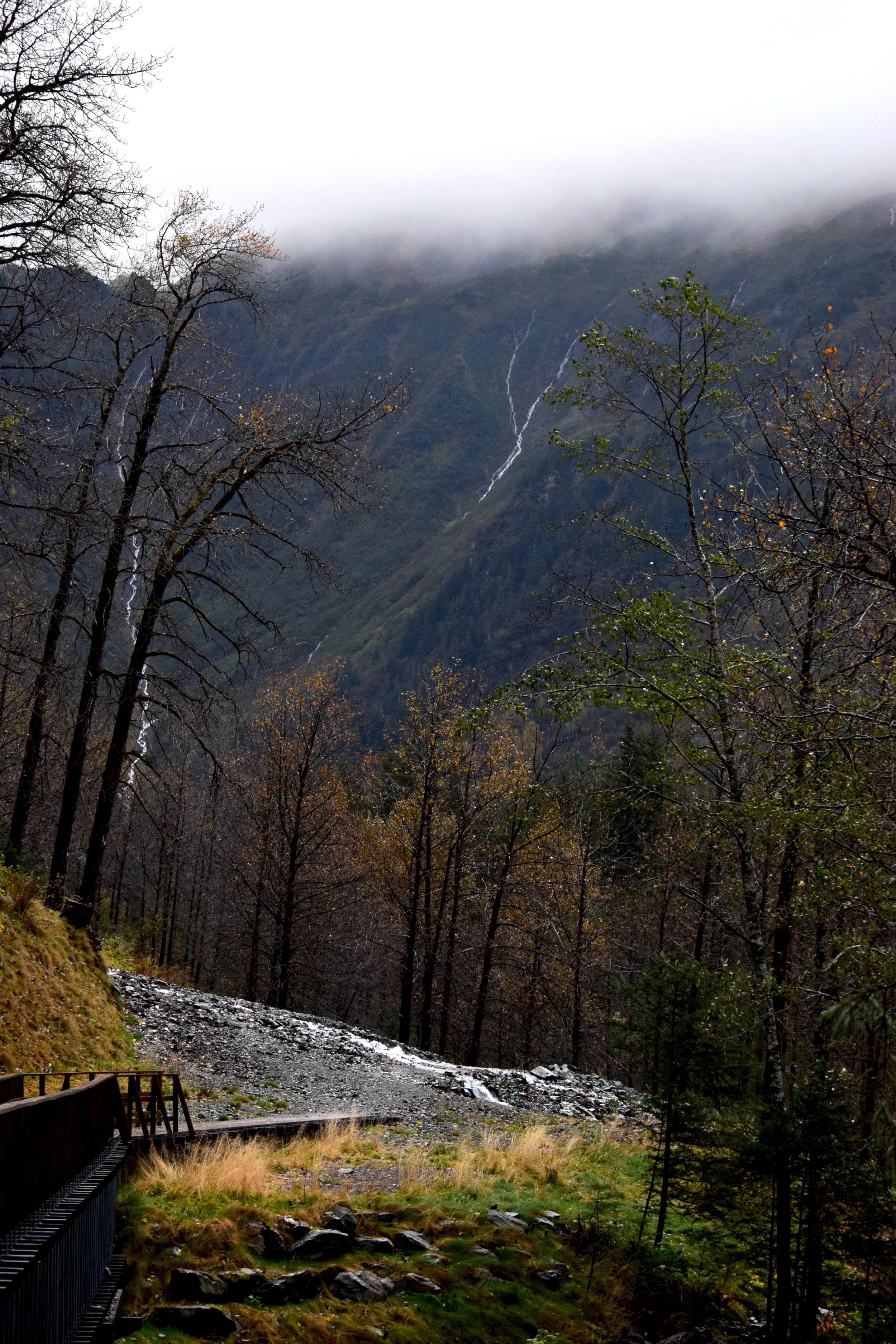 JN AK Perseverance Trail Path.jpg
