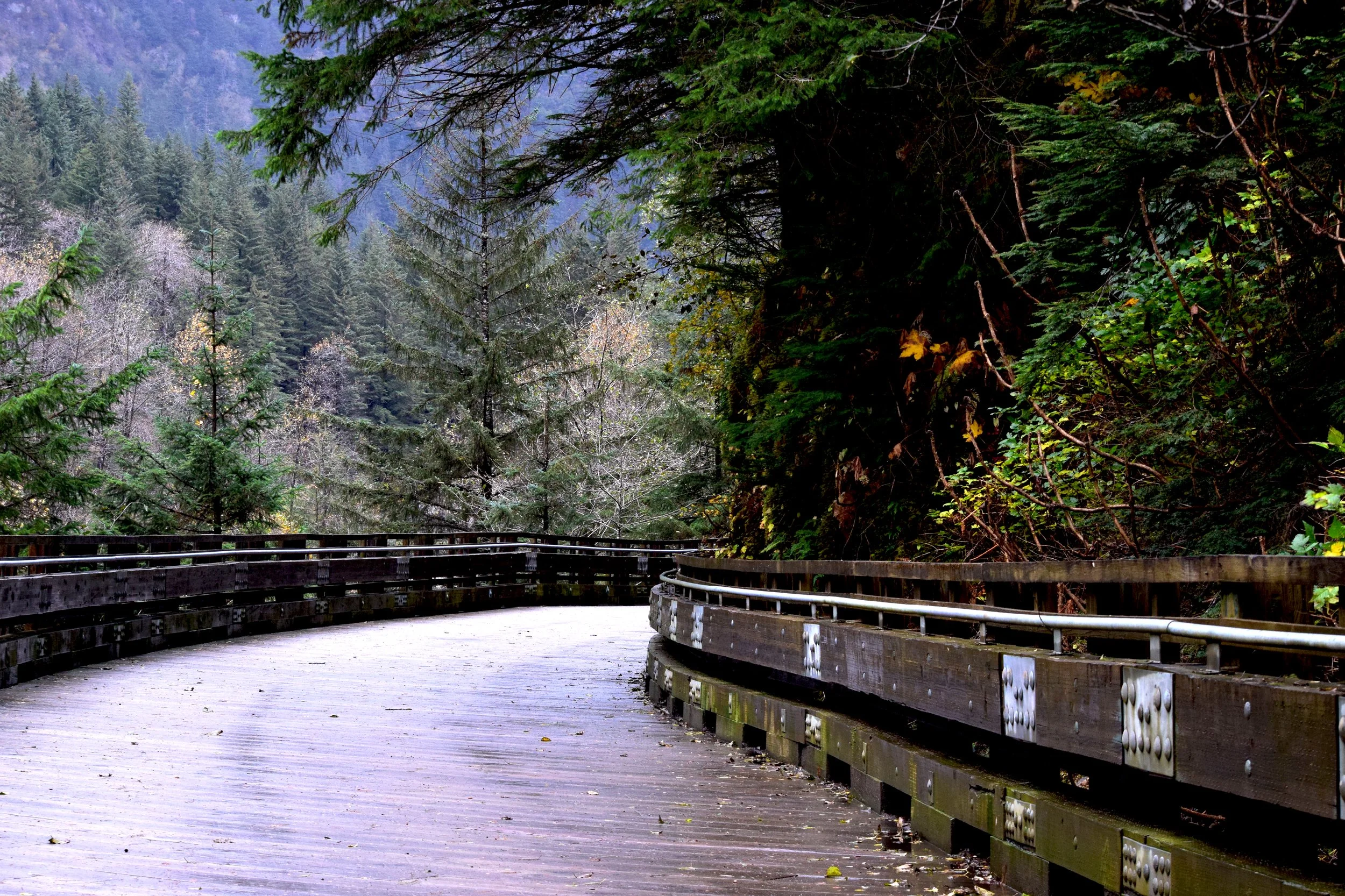 Perseverance Trail Bridge 2.jpg