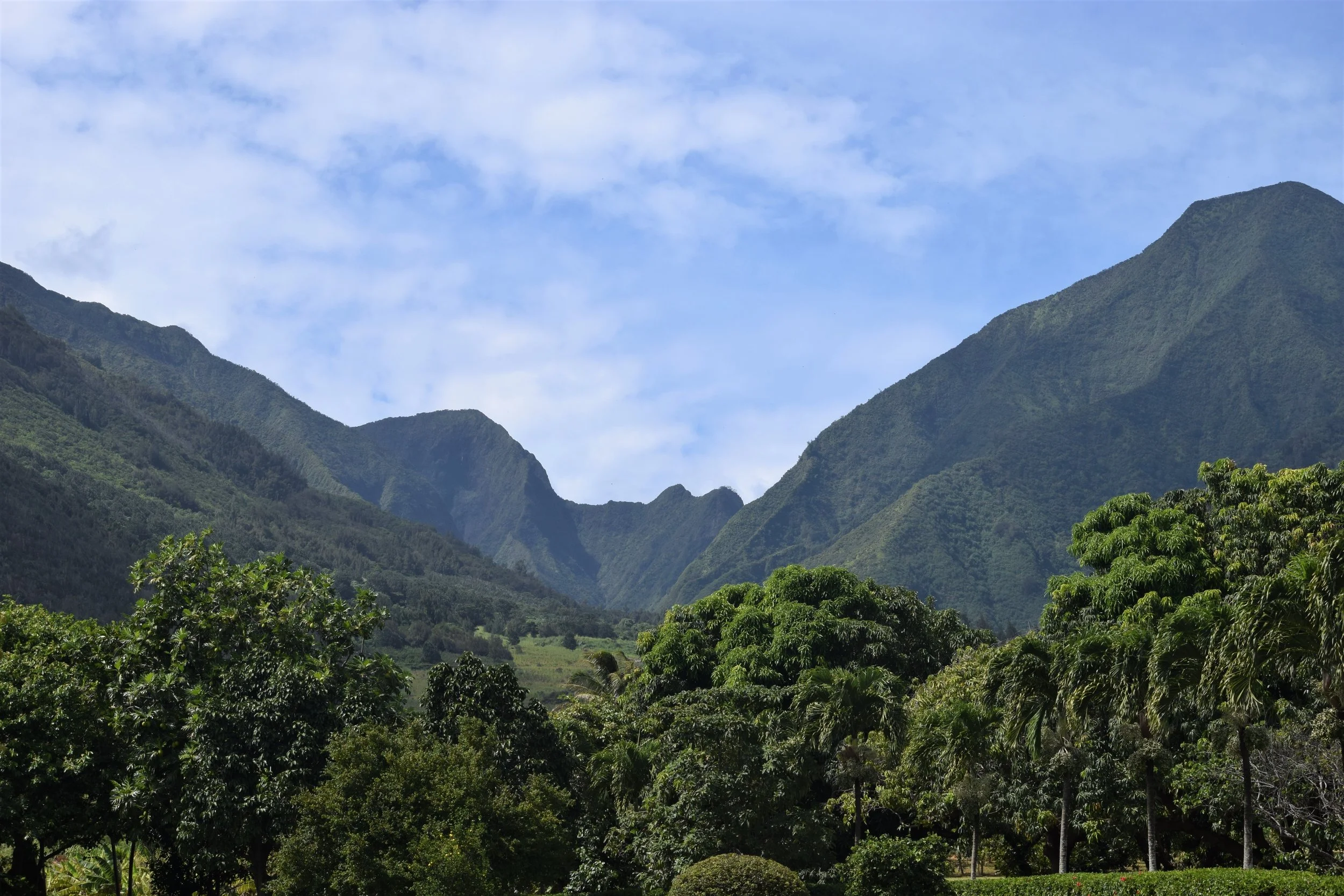 Hawaii Maui Green Mountain.jpg