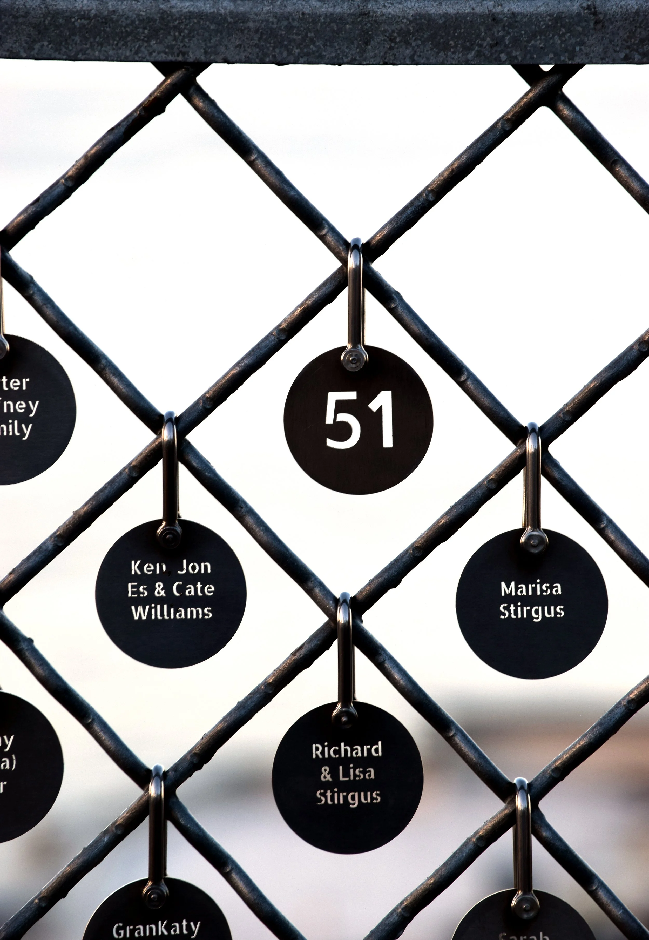 SA Fence.jpg