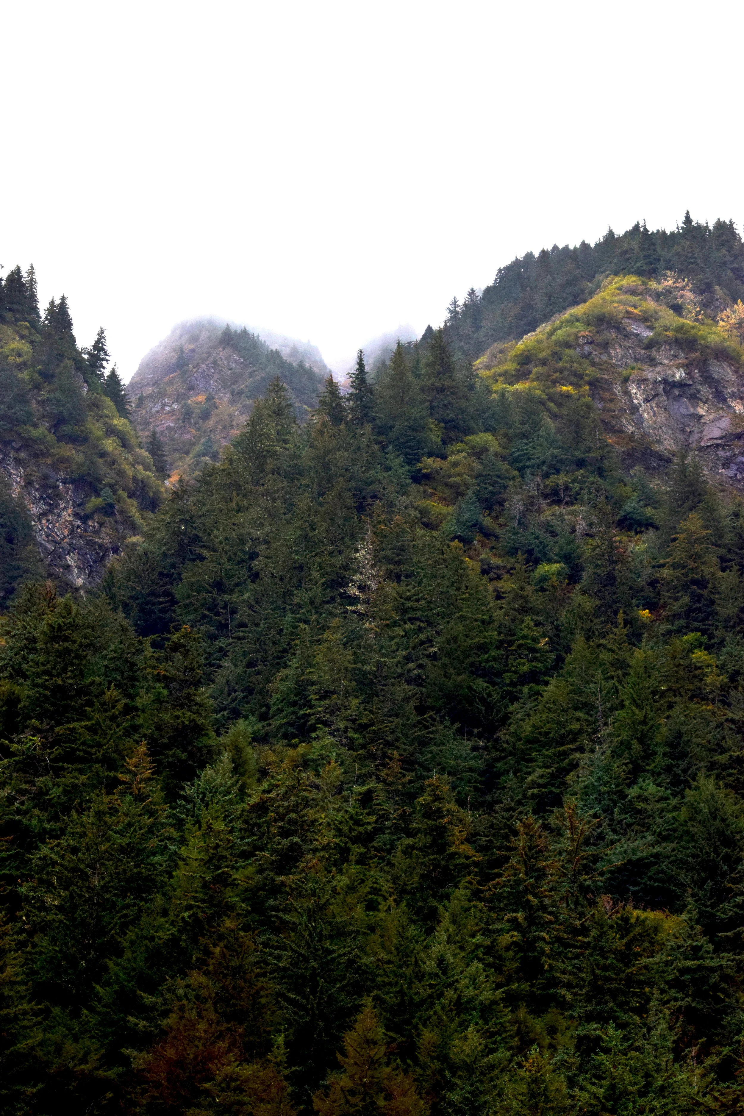 JN AK Mountains.jpg