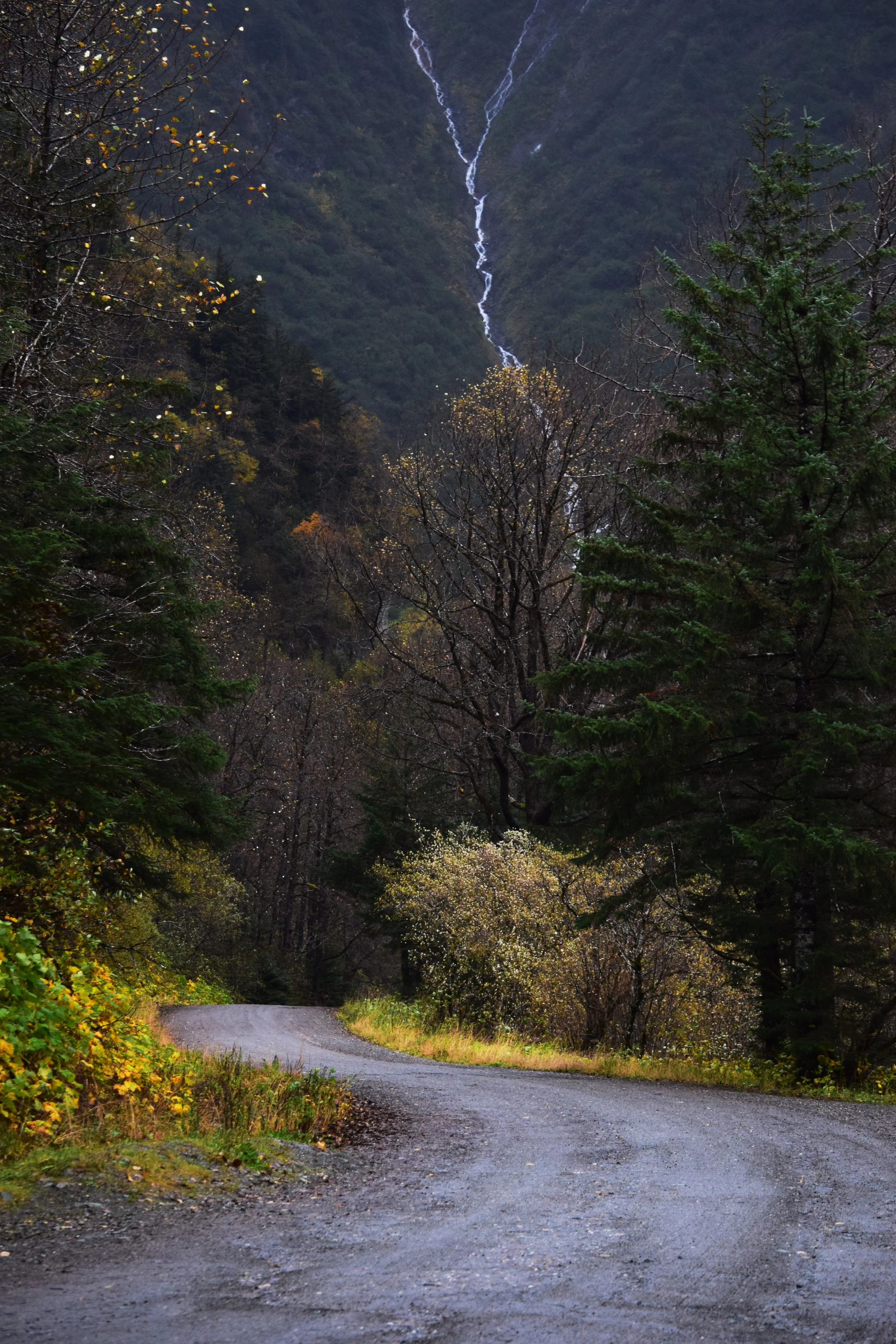 JN AK Perseverance Trail.jpg