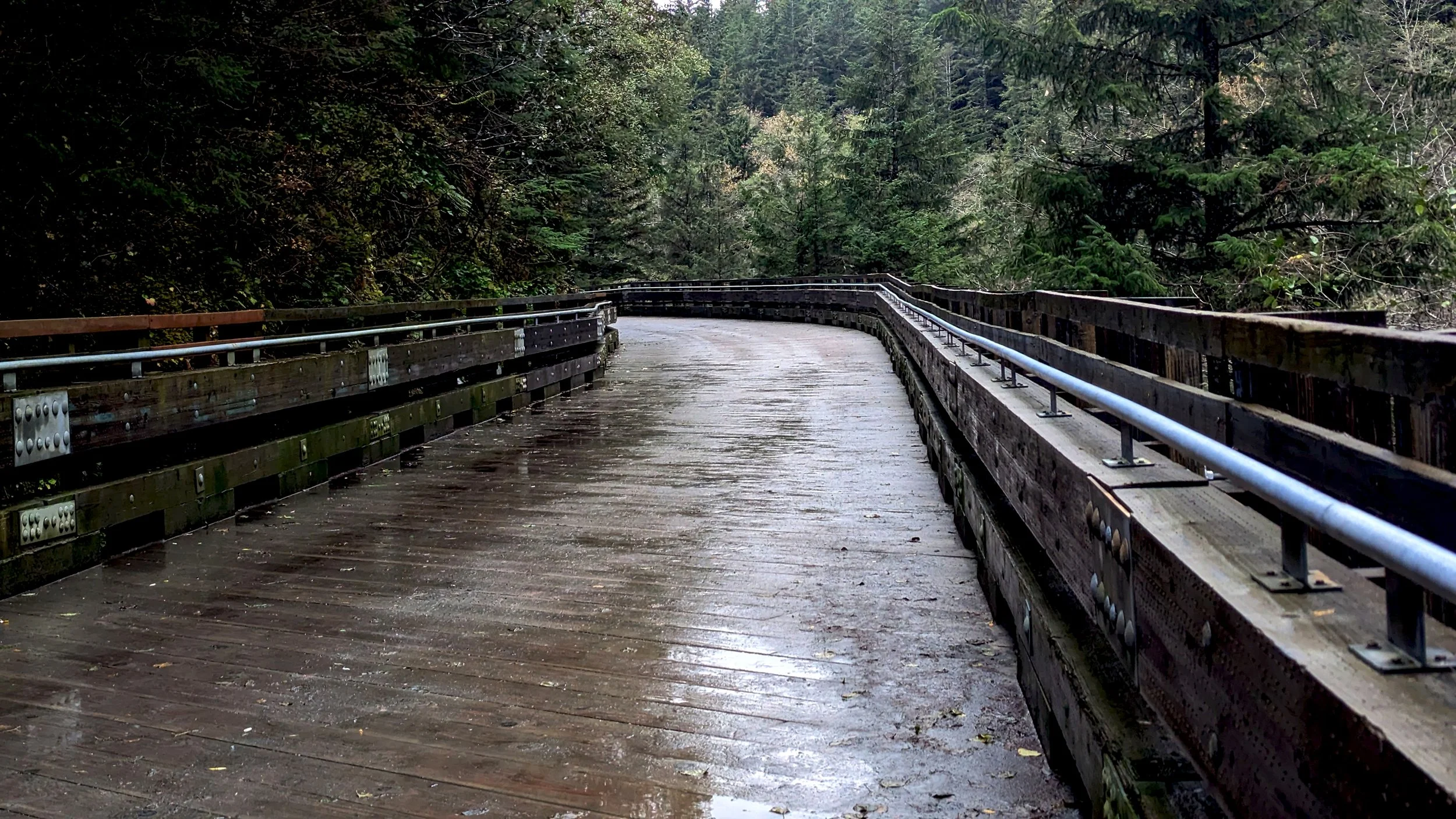 Perseverance Trail Bridge.jpg