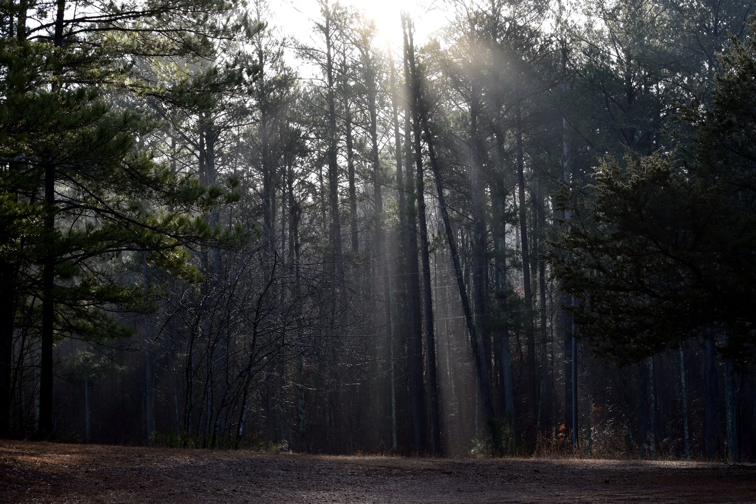 Sunlight.jpg