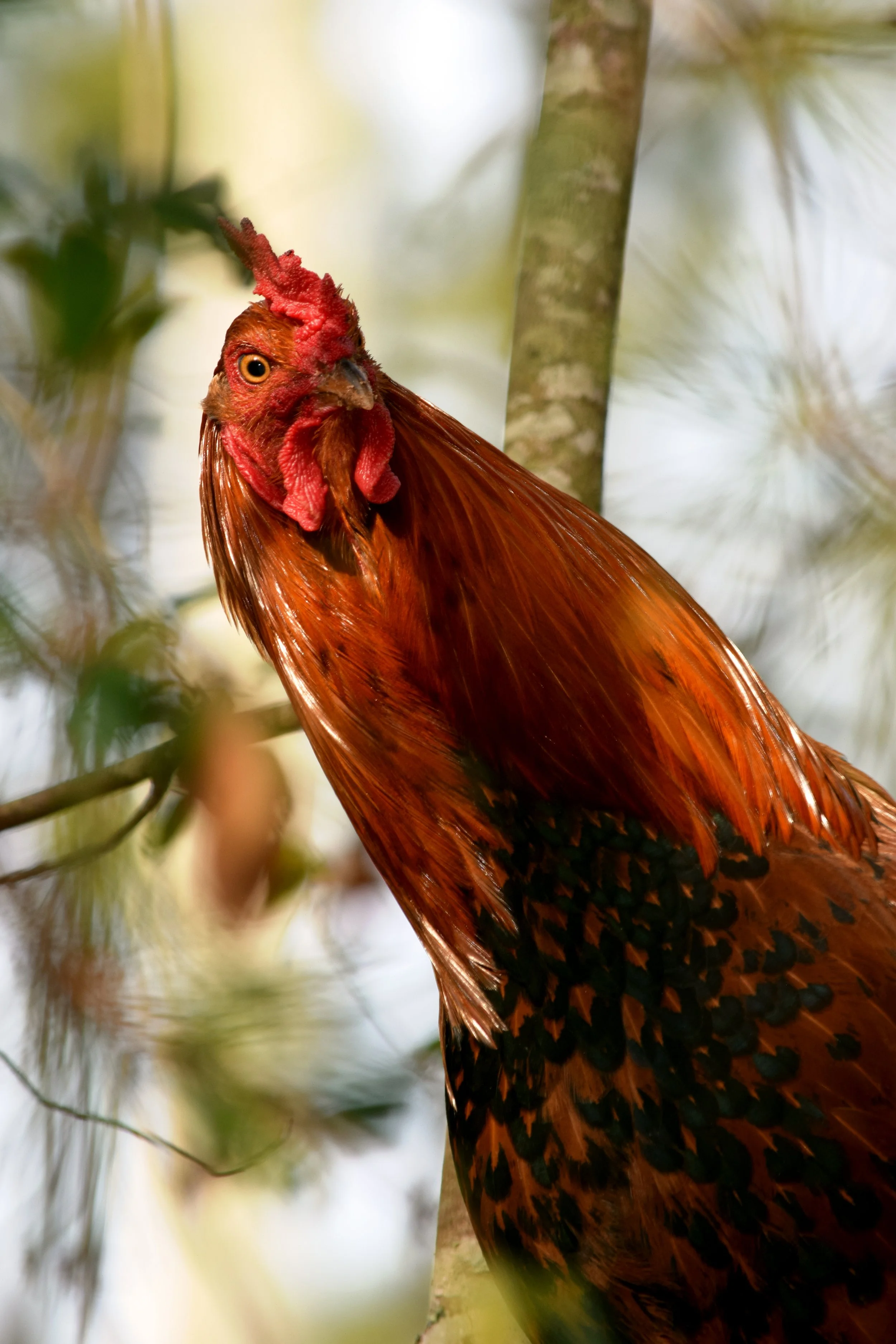 What cha looking at.jpg