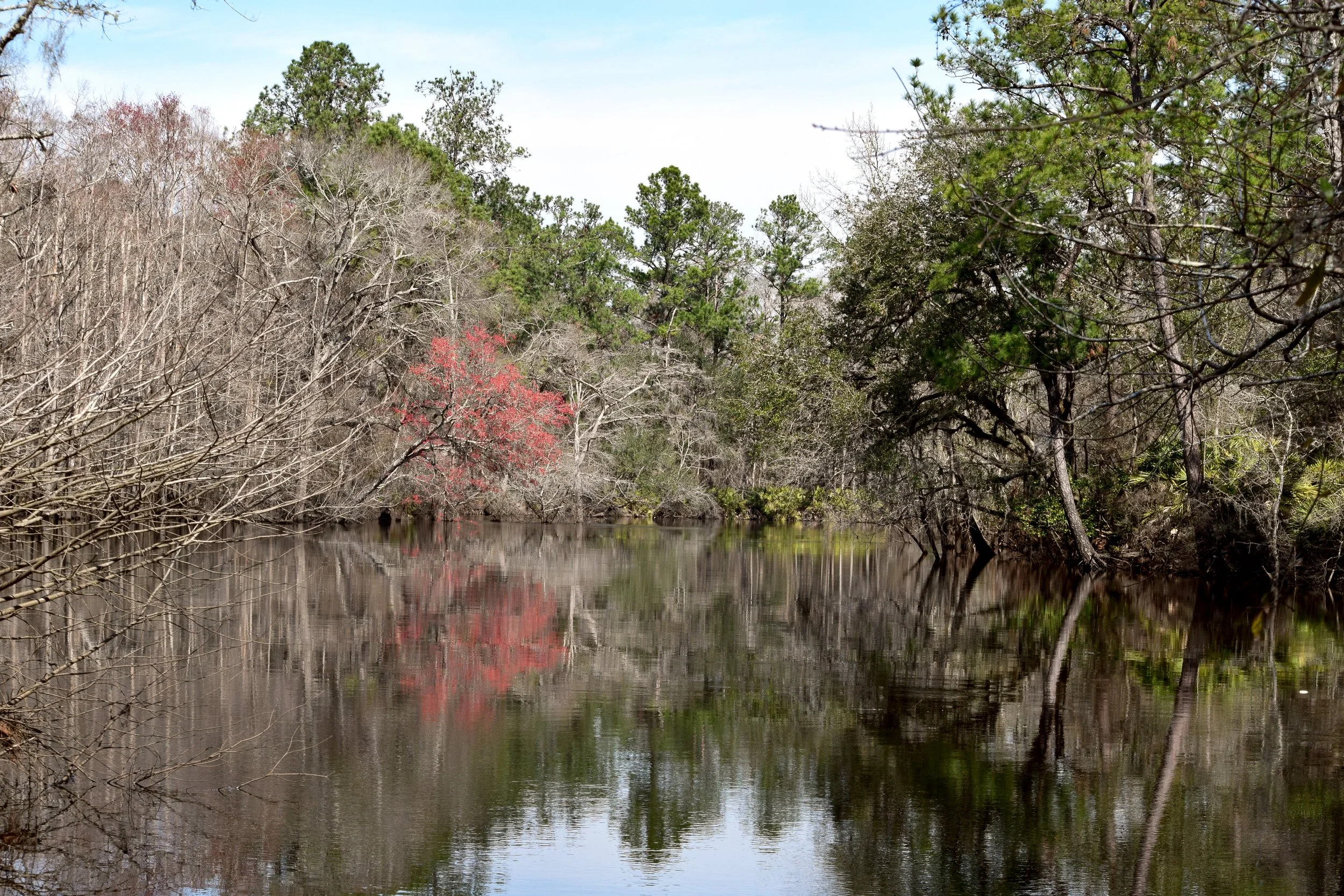 Hazelhurst, GA.jpg