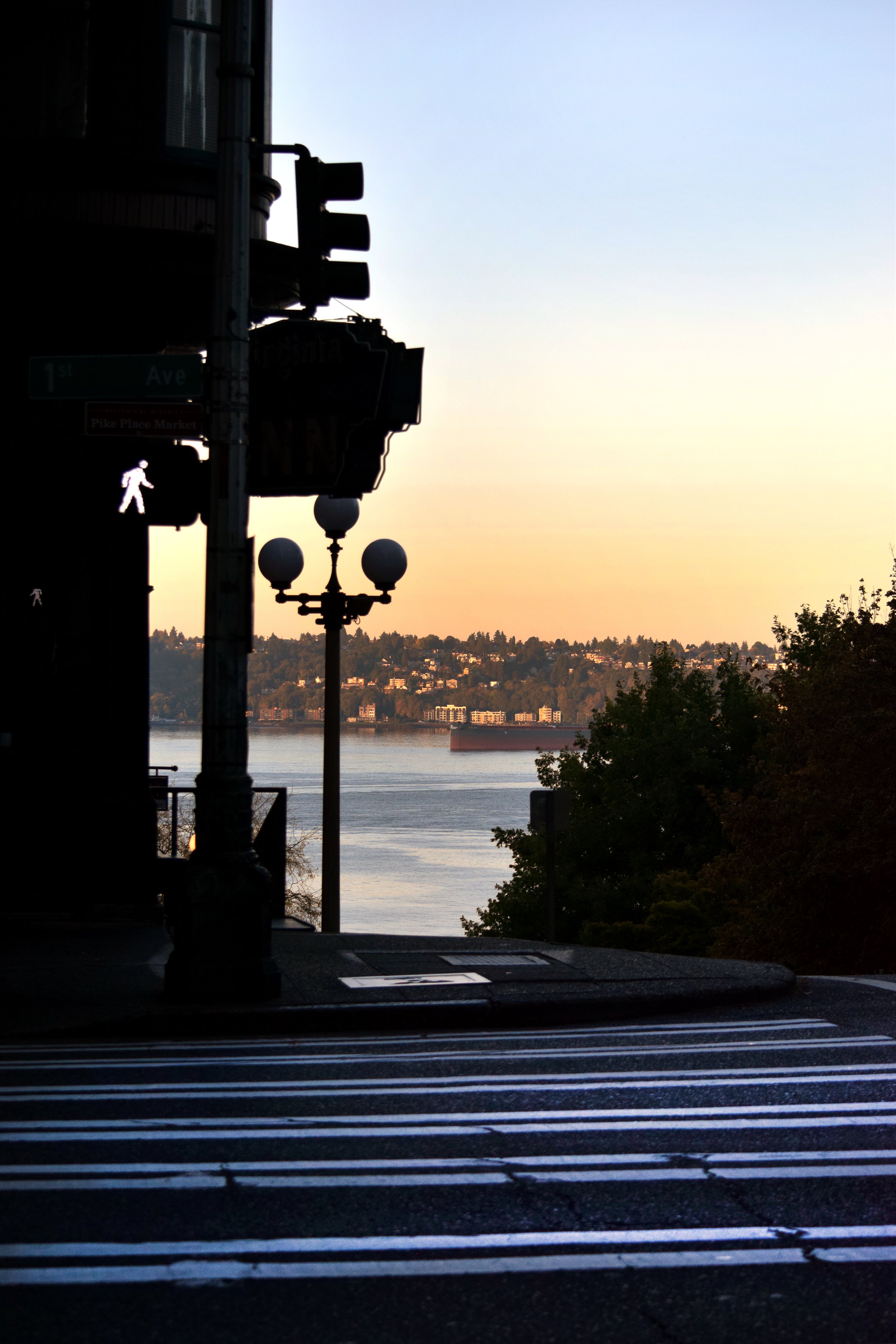 SA First Glimpse.jpg