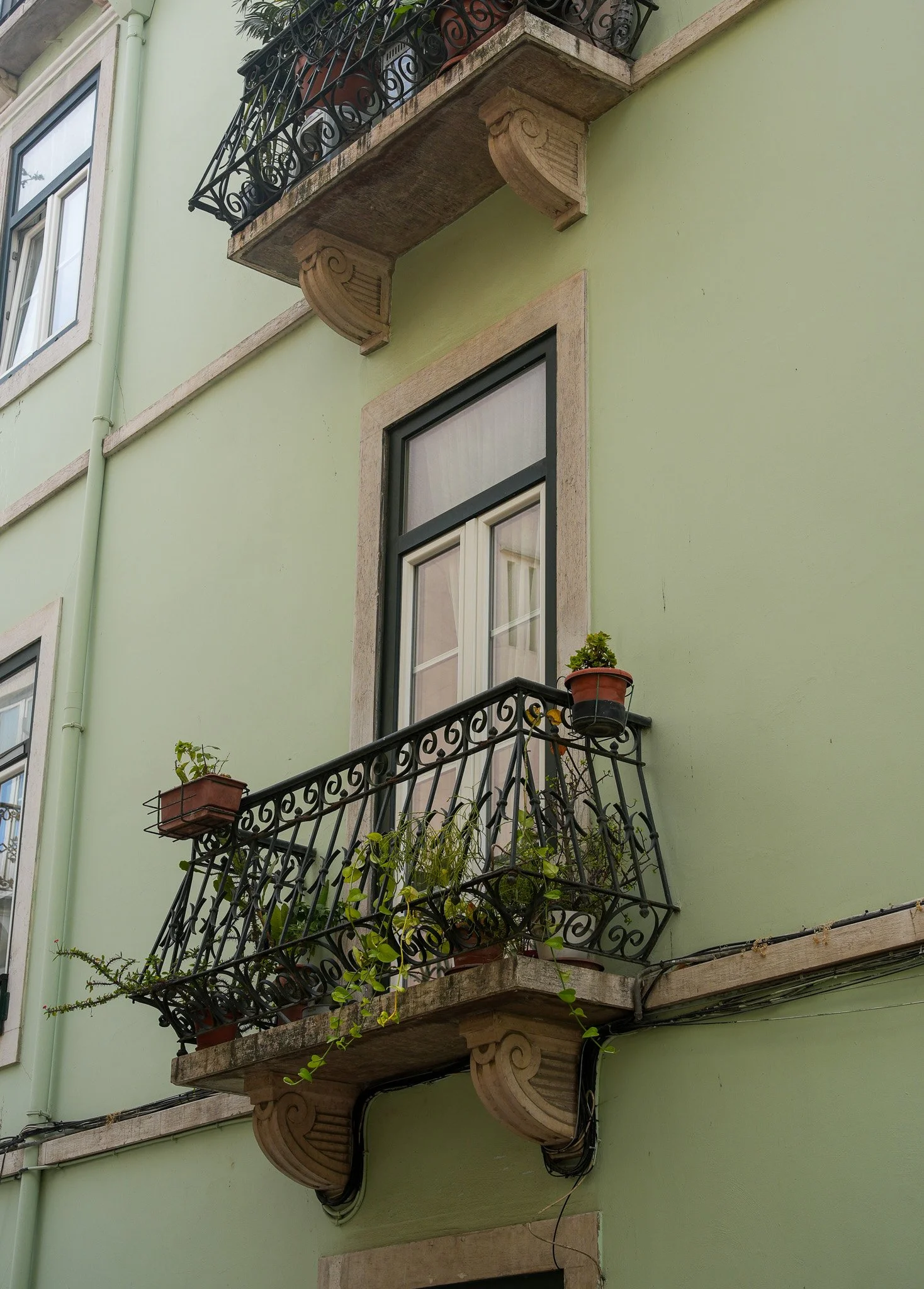 DSC03308.jpg