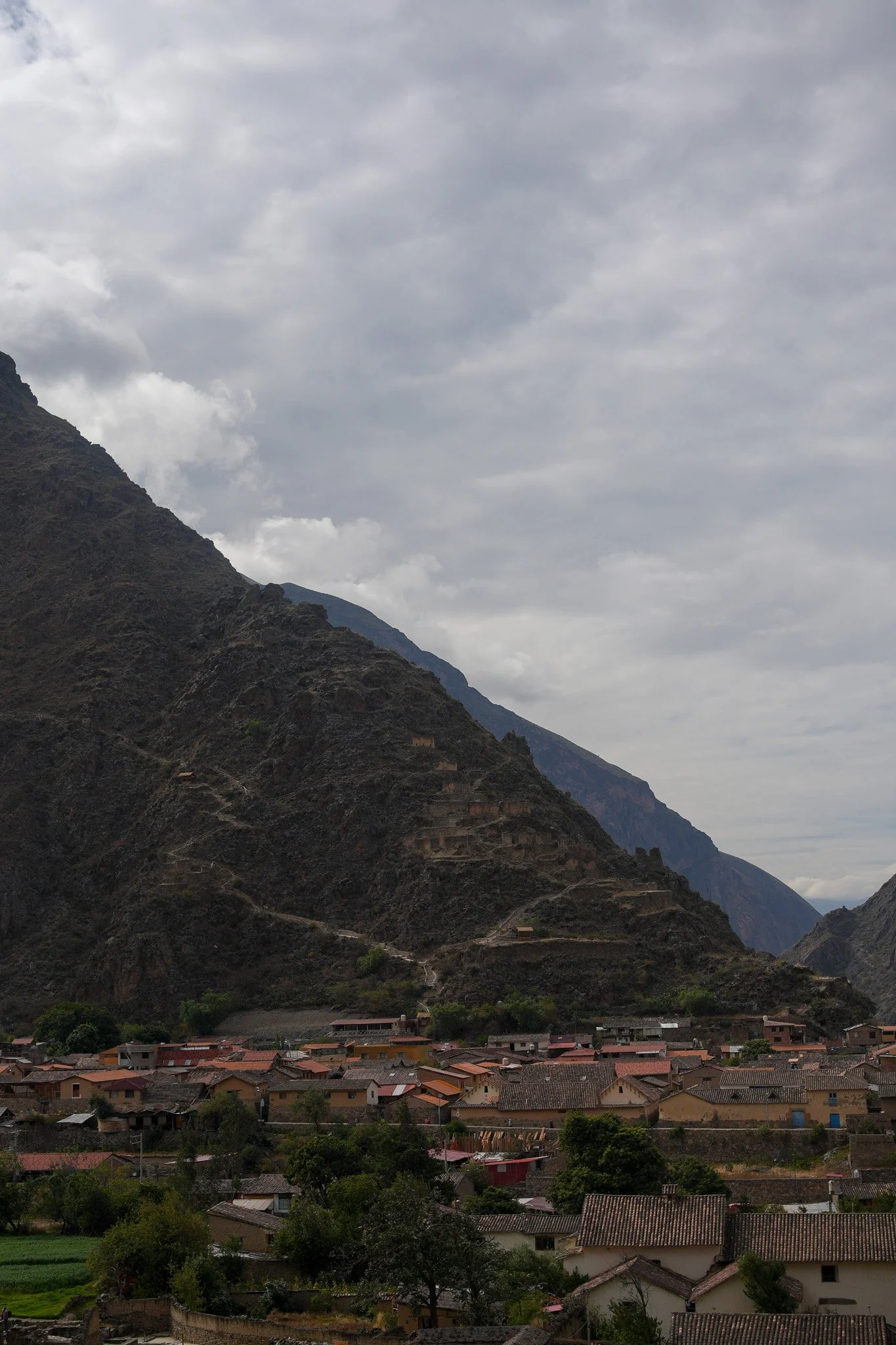 DSC02115.jpg