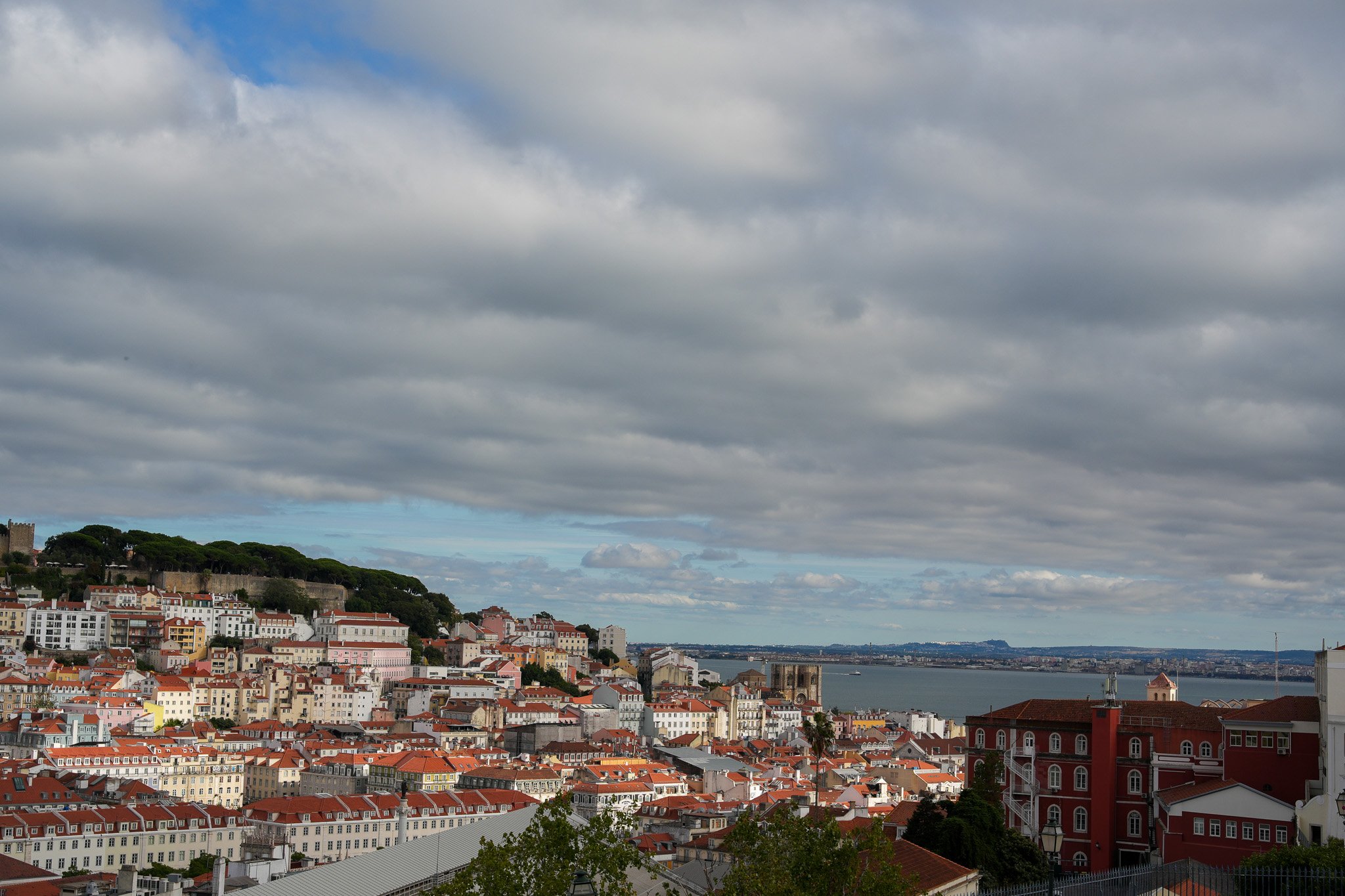DSC03288.jpg