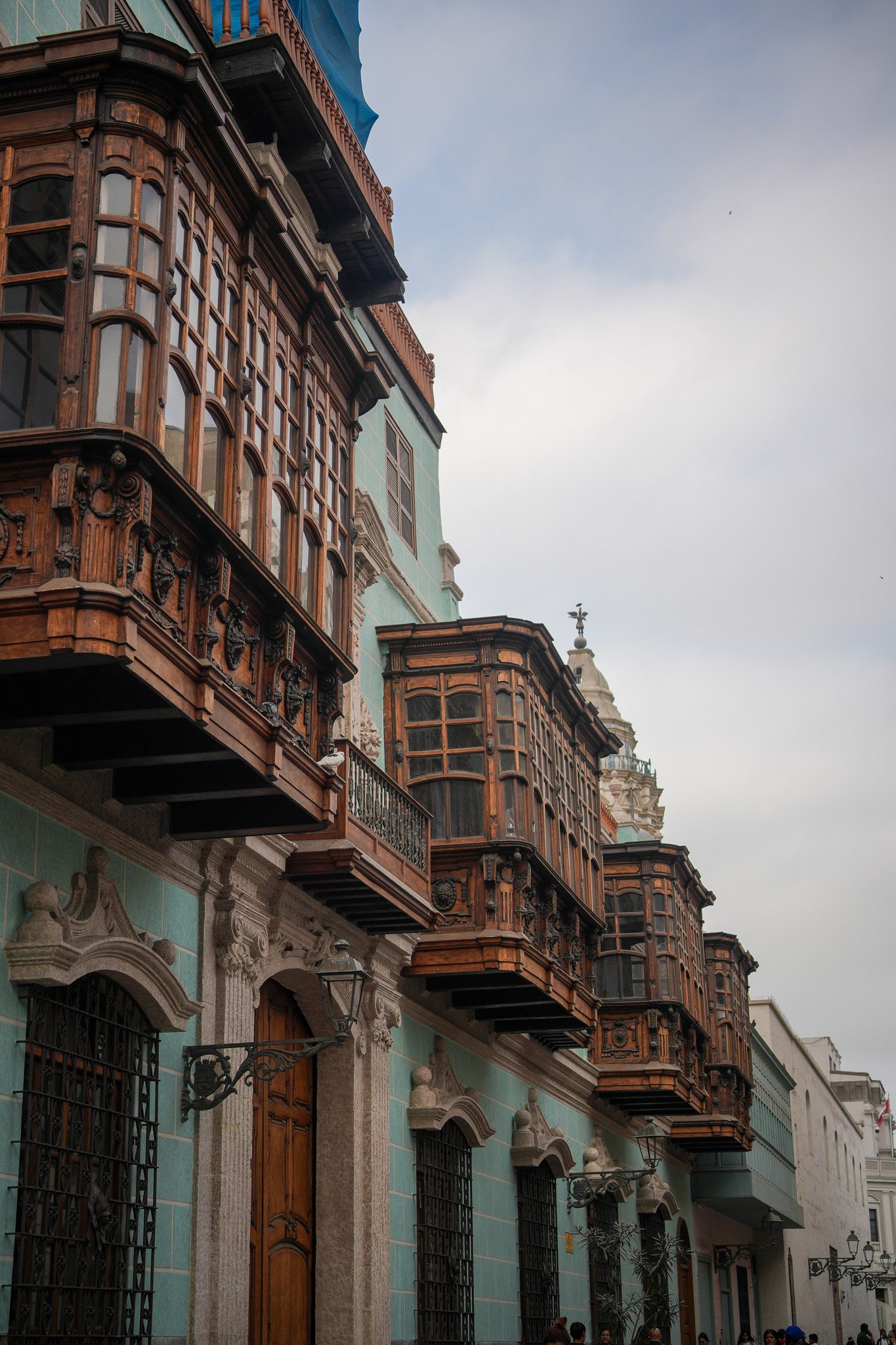 DSC02022.jpg