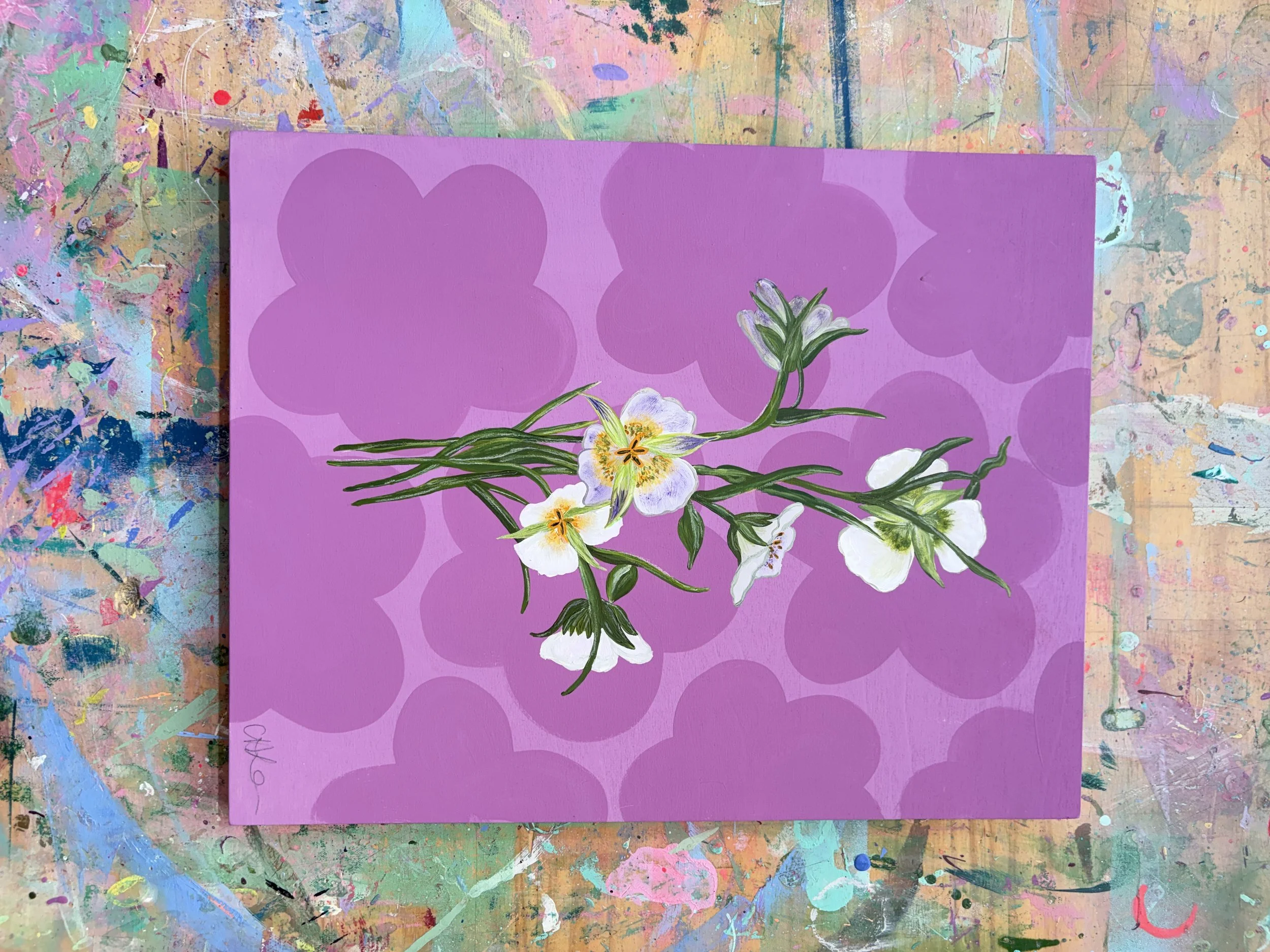 A Little Bit Wild - Orchid