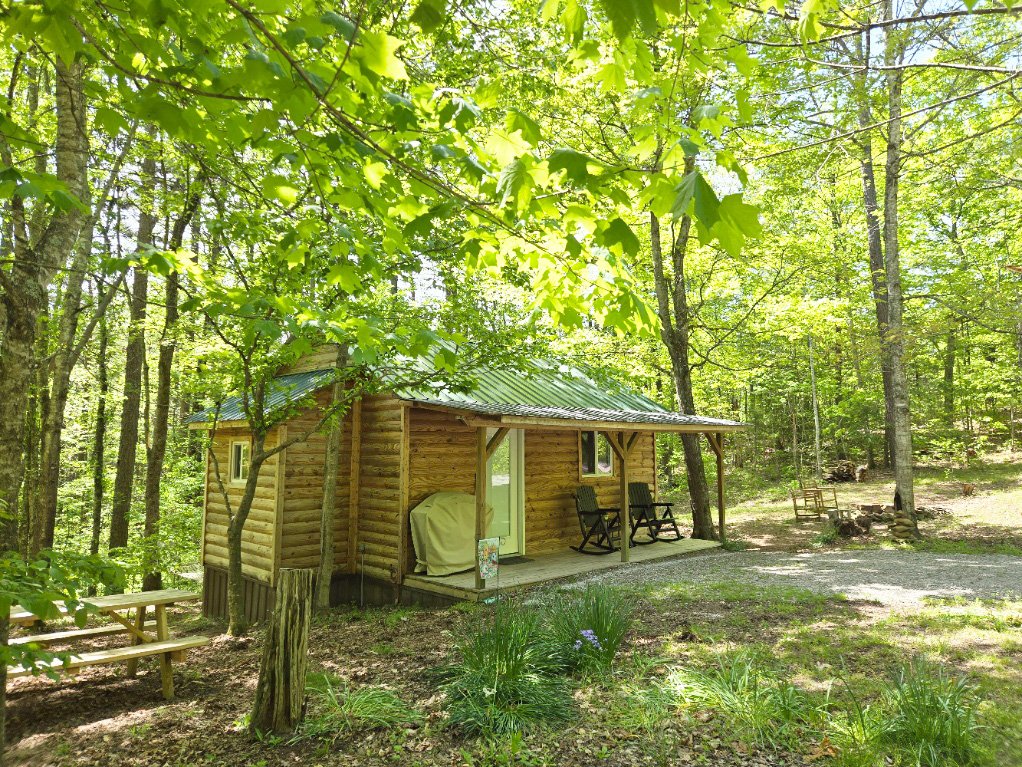 Forest Cabin At Sinking Creek