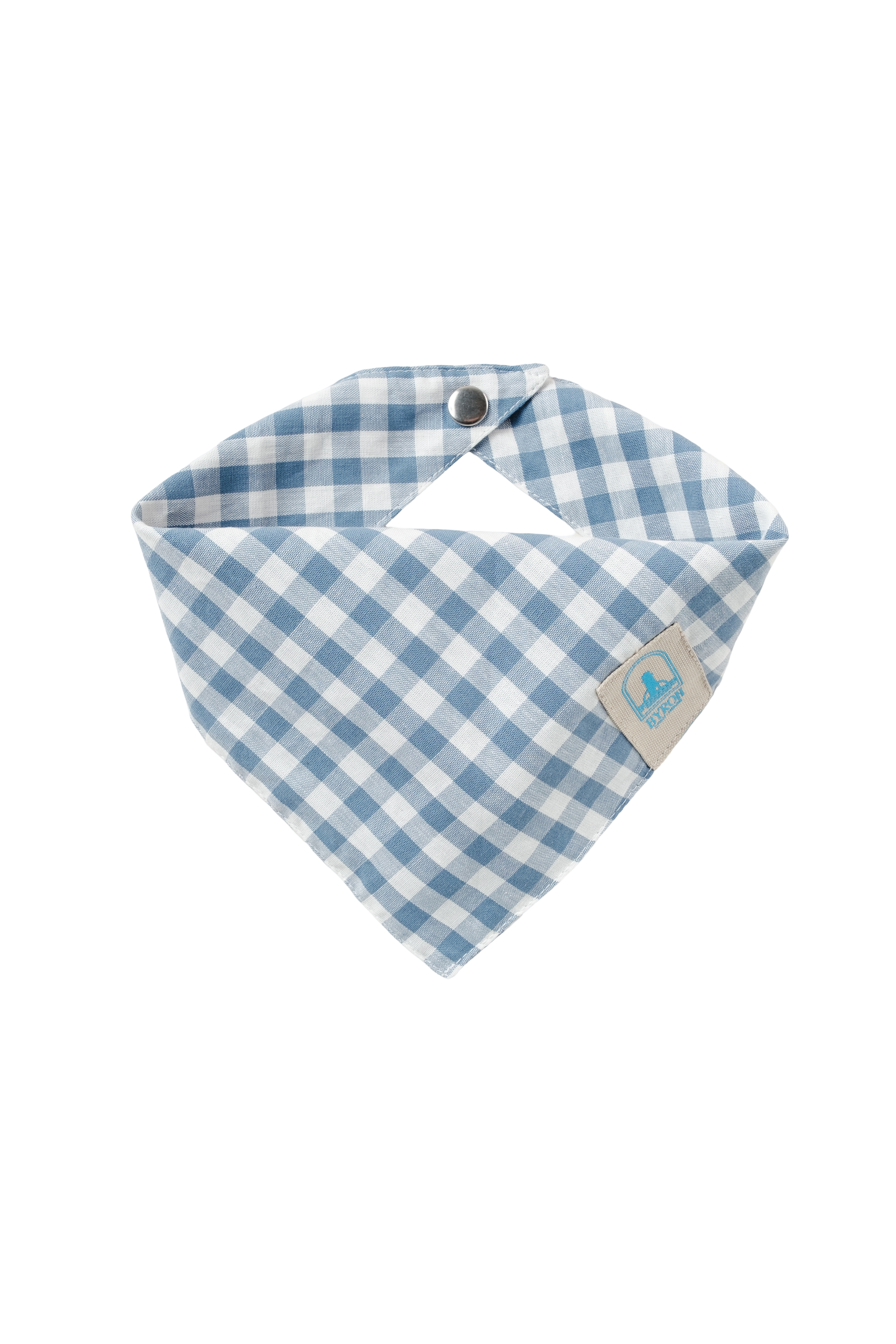 Bandana Blue Merle