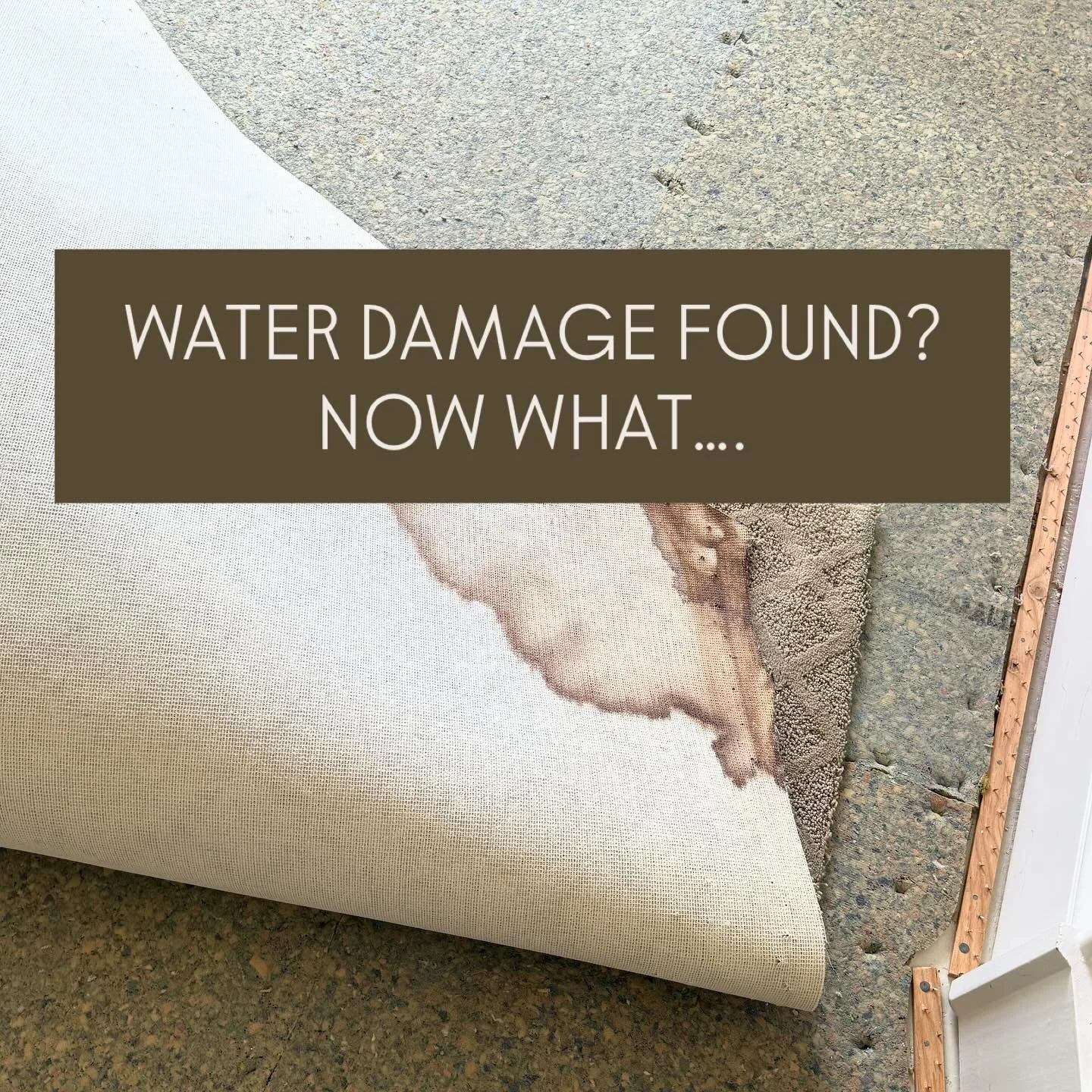 A Healthy Home renovation can sometimes feel overwhelming, but it doesn&rsquo;t have to be!

Order of operations was something that we spent a lot of time on in preparation for @drcharliedc and @curiouslypresent project.

Here&rsquo;s a perfect examp