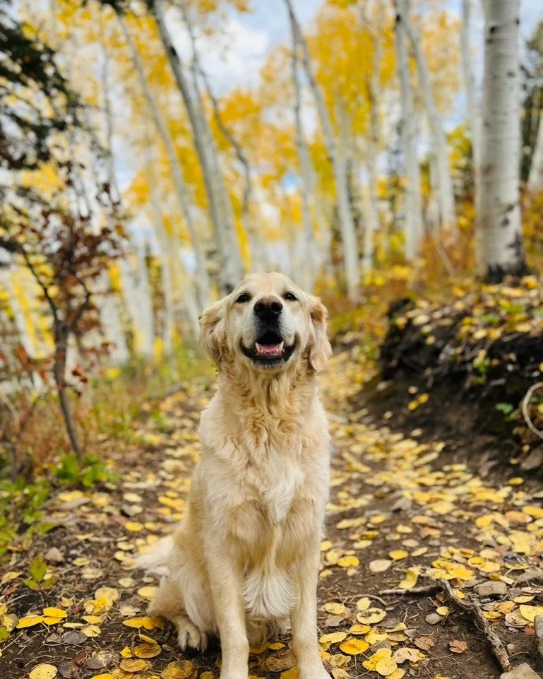 &quot;Change is not something to fear &mdash; it&rsquo;s the path that brings us home to ourselves.&quot;

The past 10 months have been full of change, adventure, laughter and deep connection. From skiing the mountains this past winter, to camping an